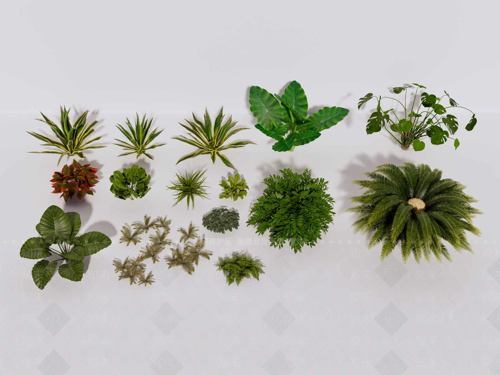 植物组合SU模型下载【ID:1190277269】