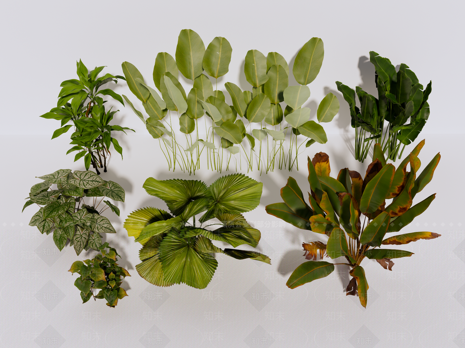 植物组合SU模型下载【ID:1190277827】