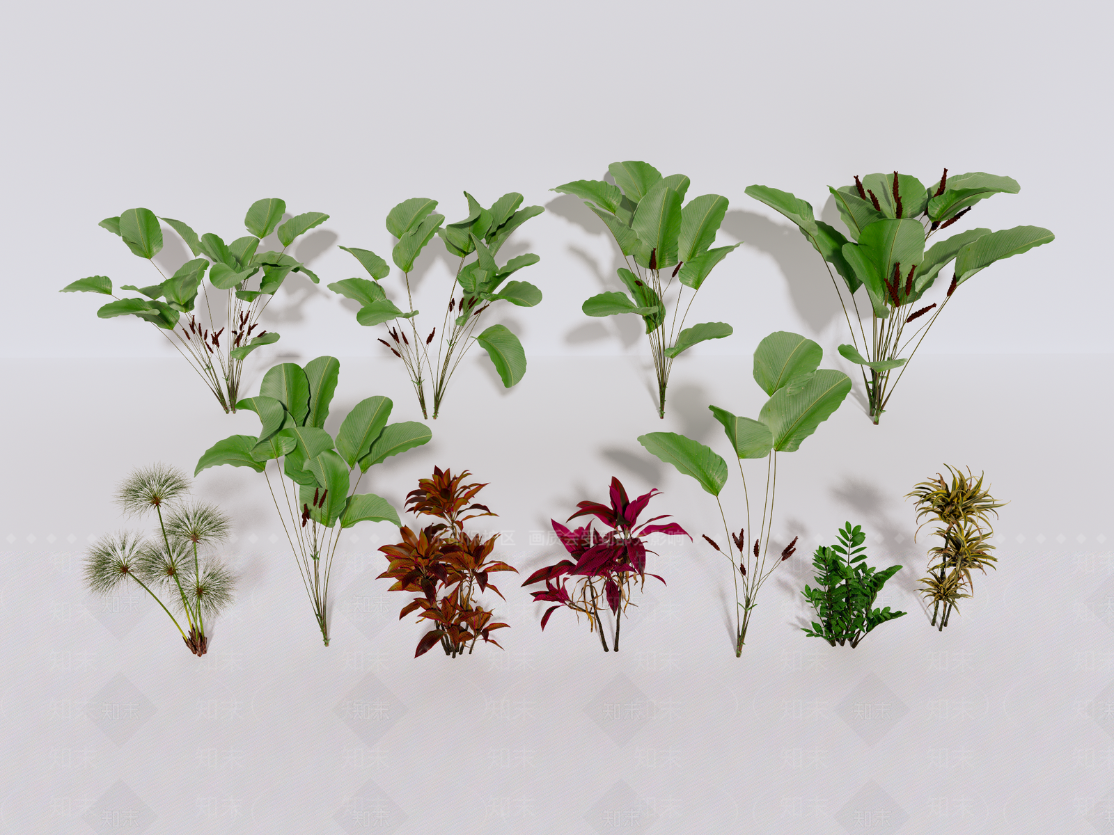 植物组合SU模型下载【ID:1190278080】