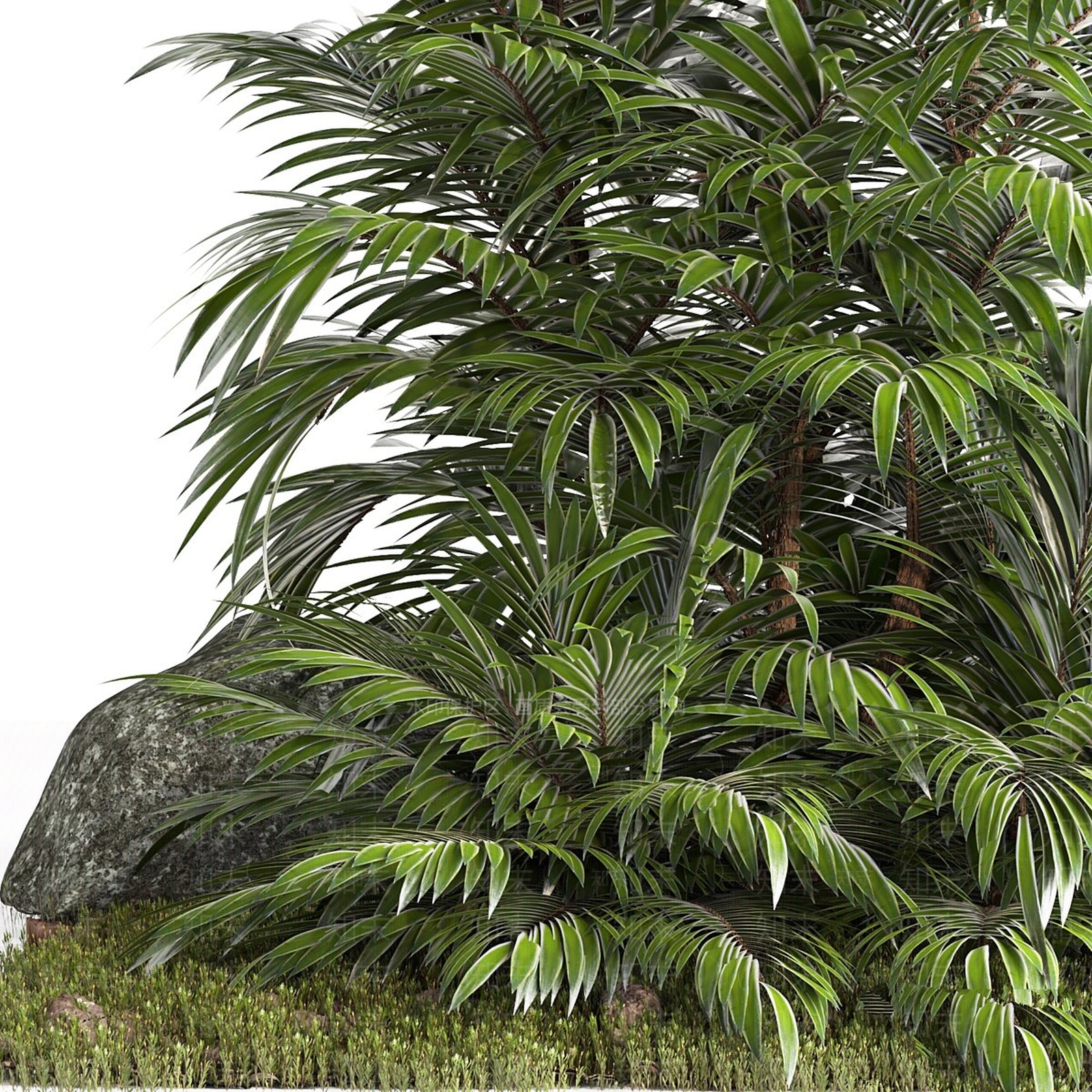 其他绿植3D模型下载【ID:1190283792】