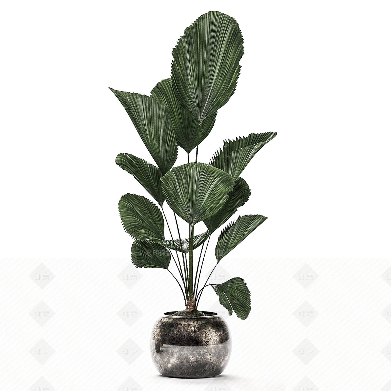 盆栽3D模型下载【ID:1190288879】