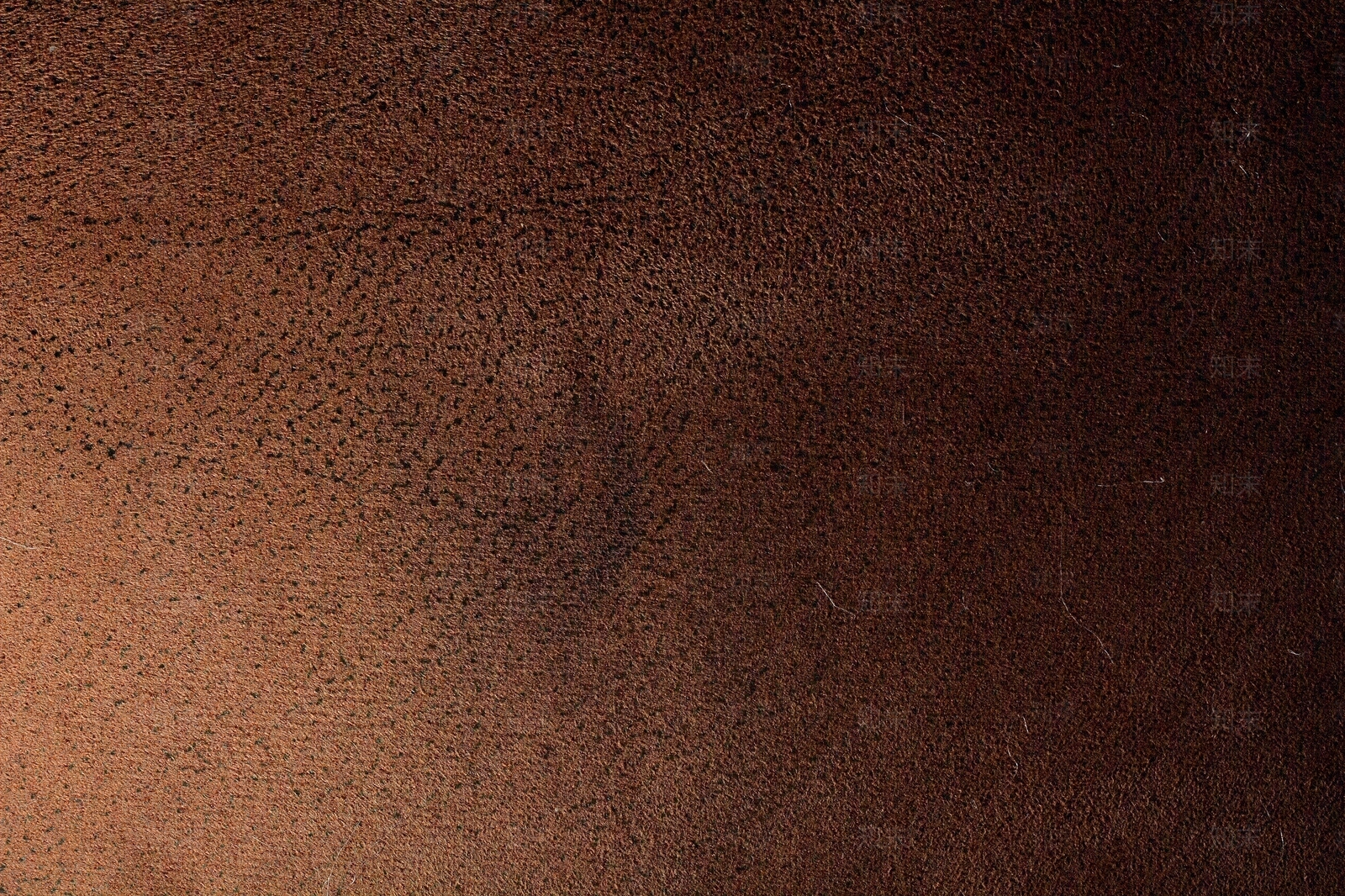 现代集装箱贴图下载【ID:1190292528】