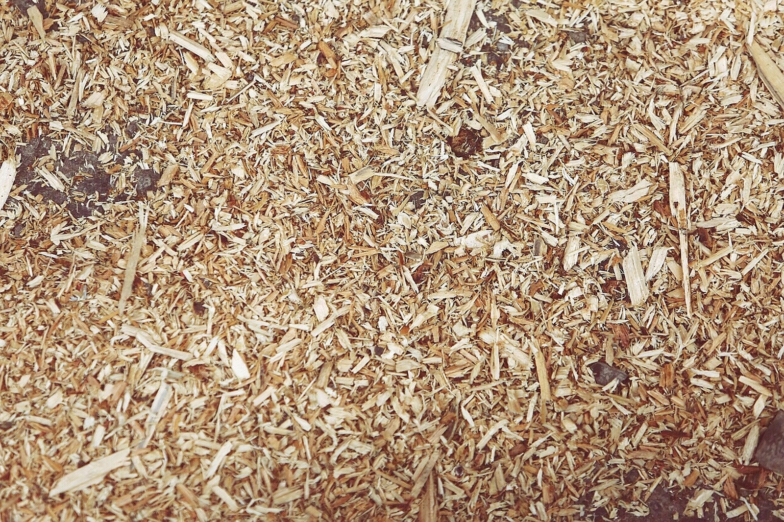 现代其它地面贴图下载【ID:1190294125】