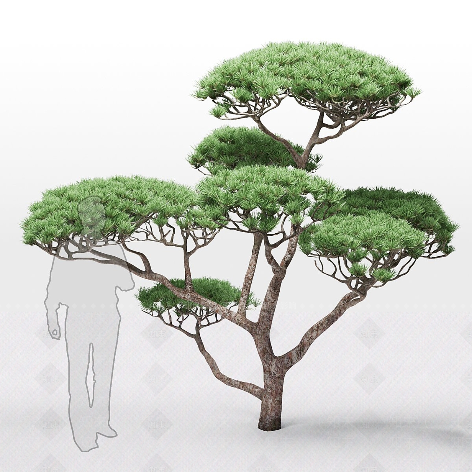 其他树木3D模型下载【ID:1190297751】