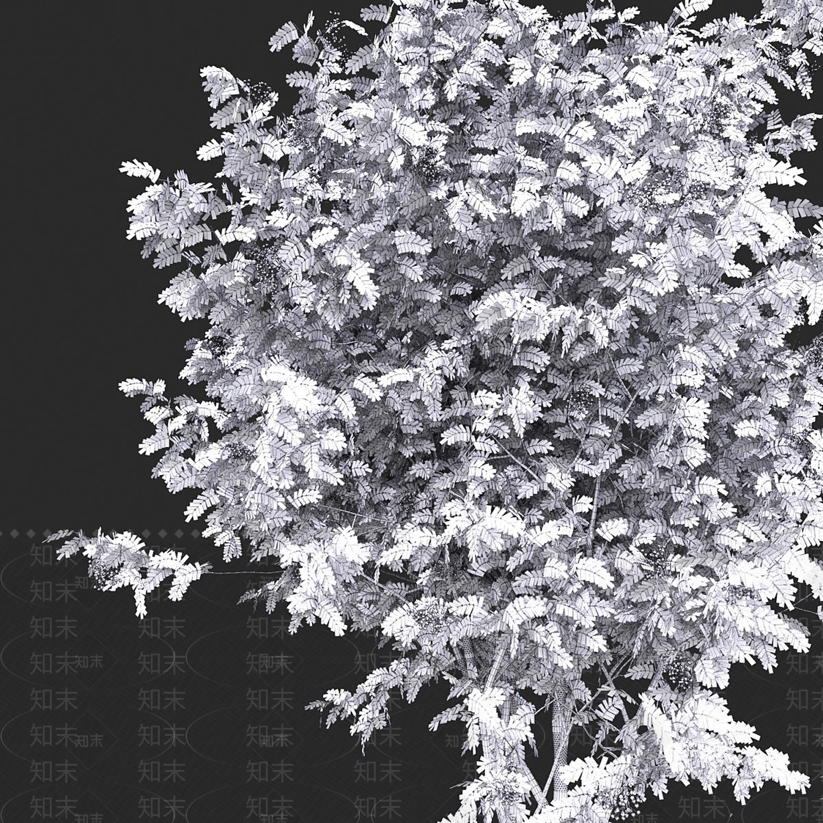 其他树木3D模型下载【ID:1190300615】