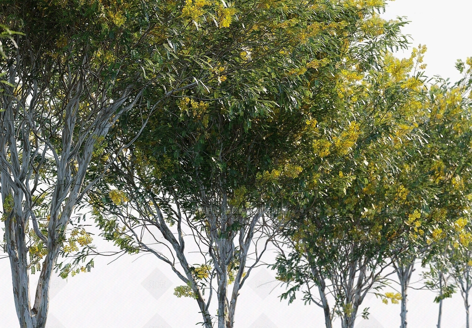 现代办公桌3D模型下载【ID:1190314577】