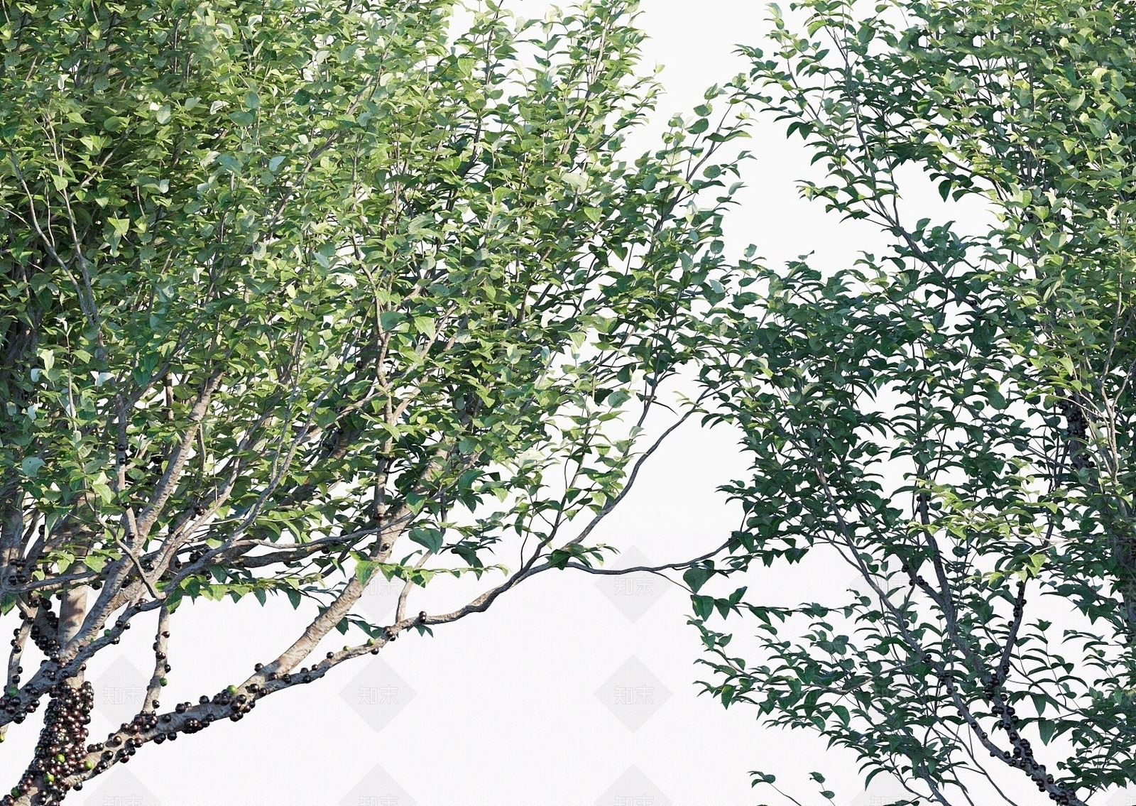 现代办公桌3D模型下载【ID:1190314741】