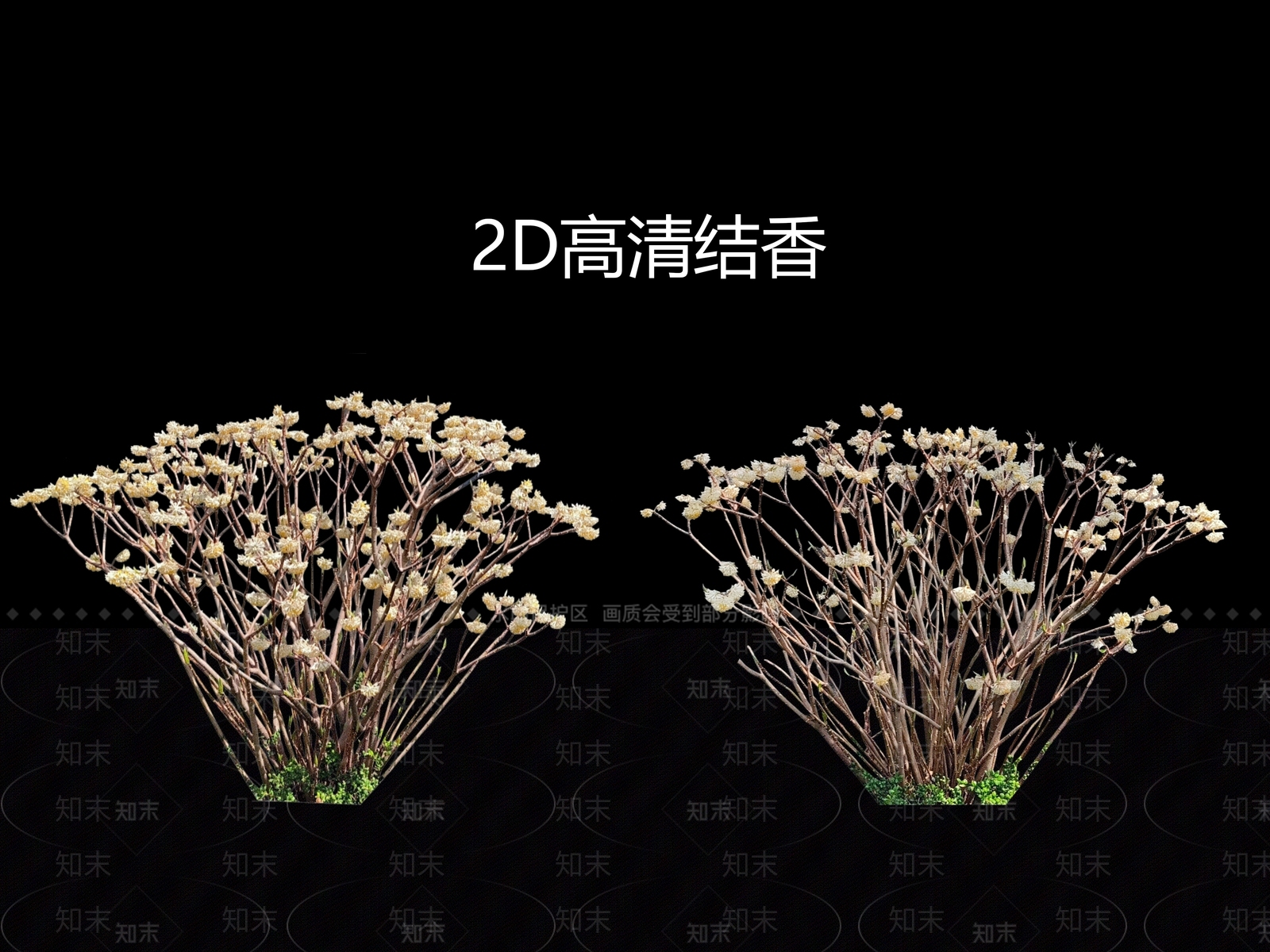 花草SU模型下载【ID:1190346584】