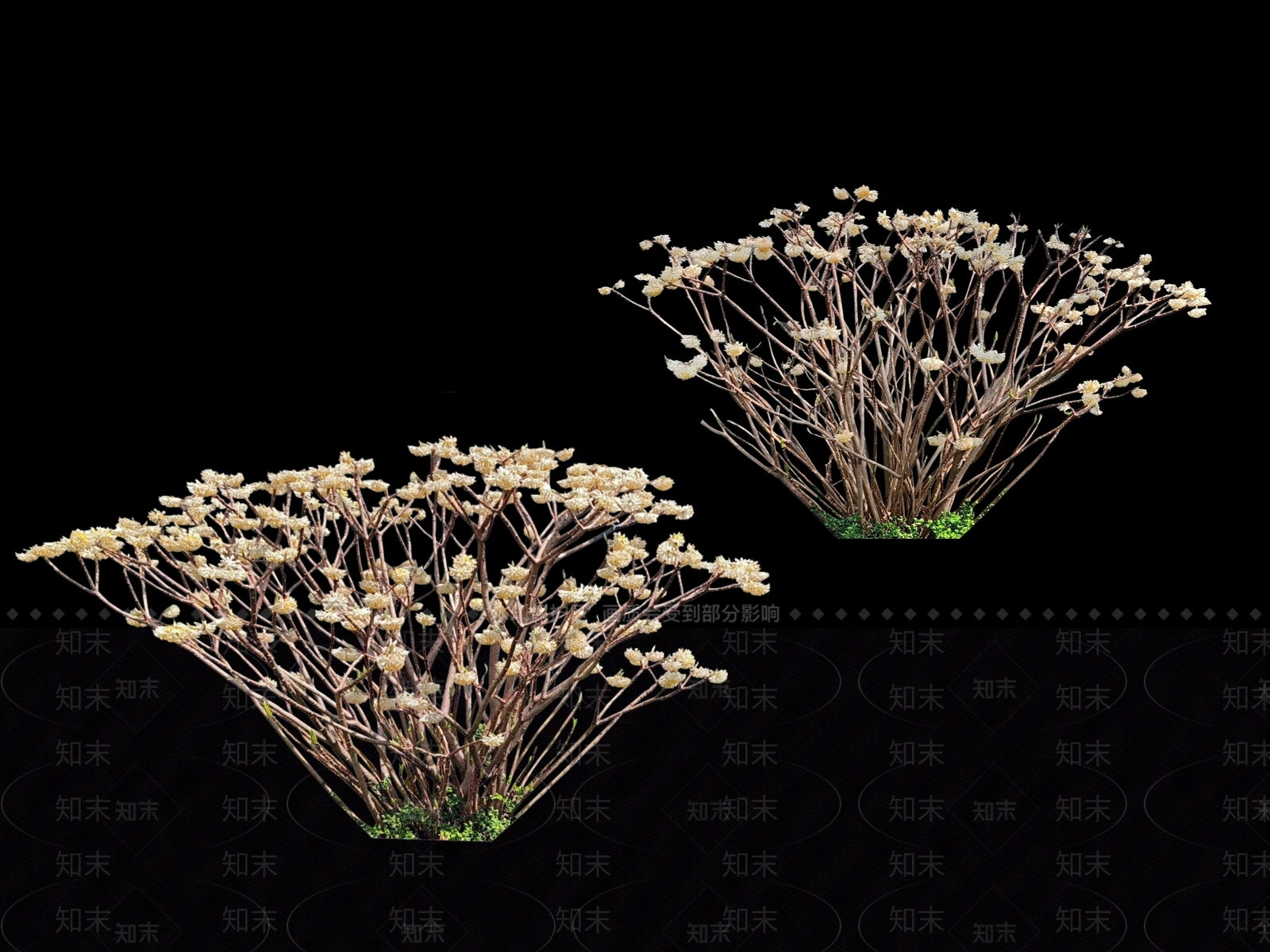 花草SU模型下载【ID:1190346584】
