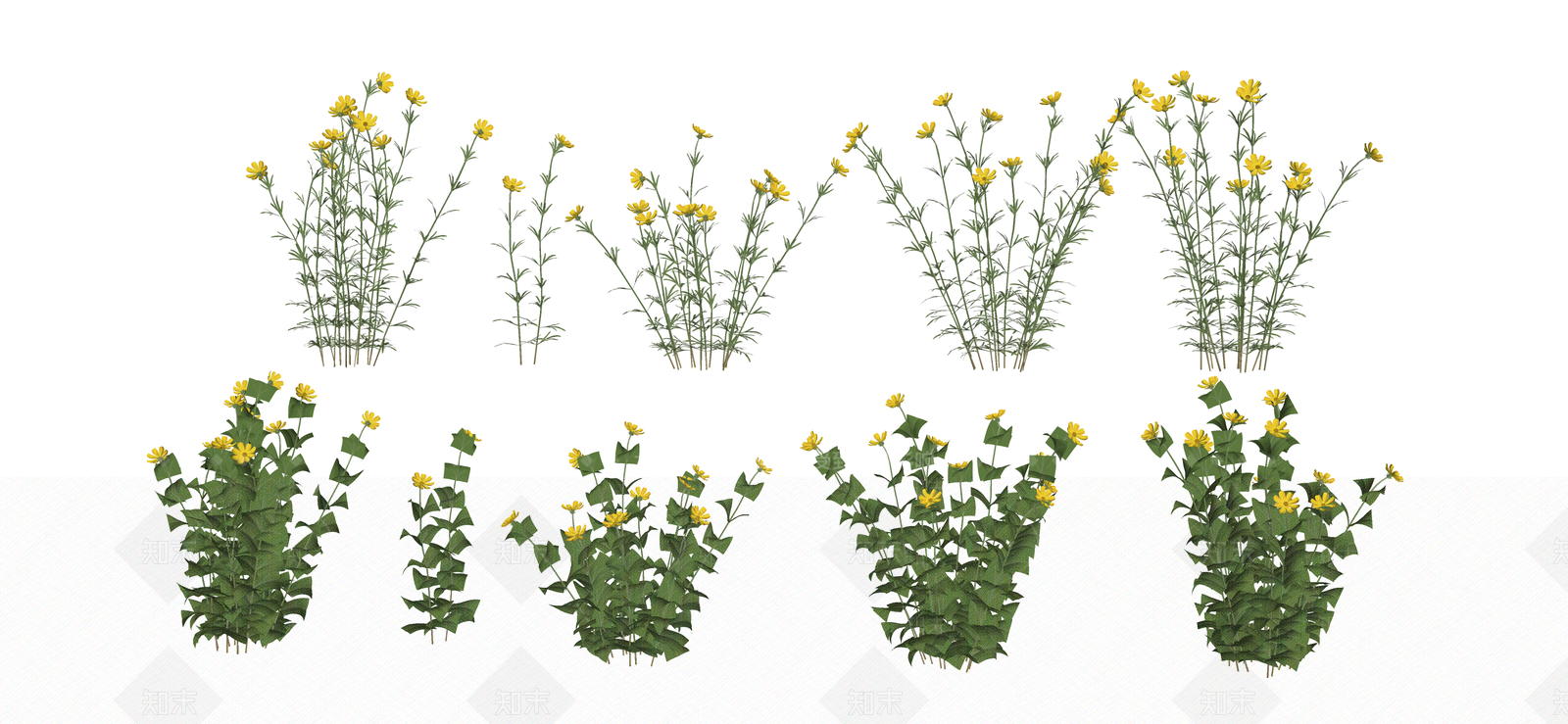 花草SU模型下载【ID:1190367170】