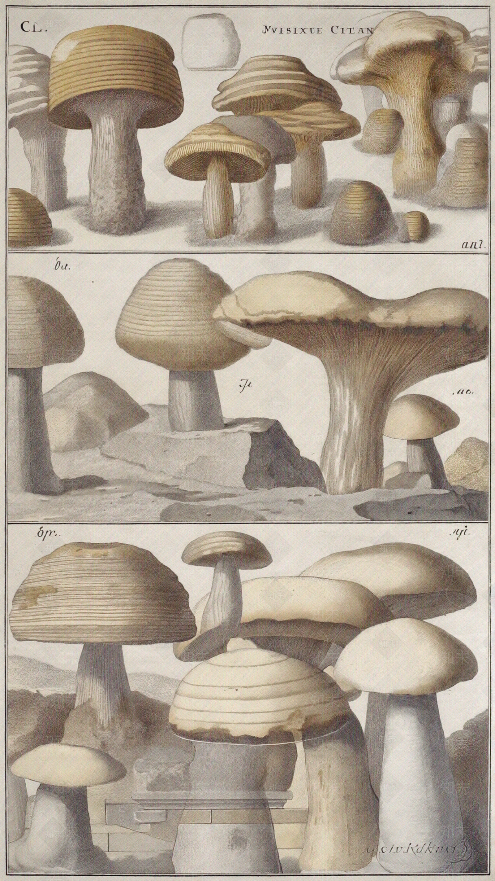 现代蘑菇石贴图下载【ID:1190451398】