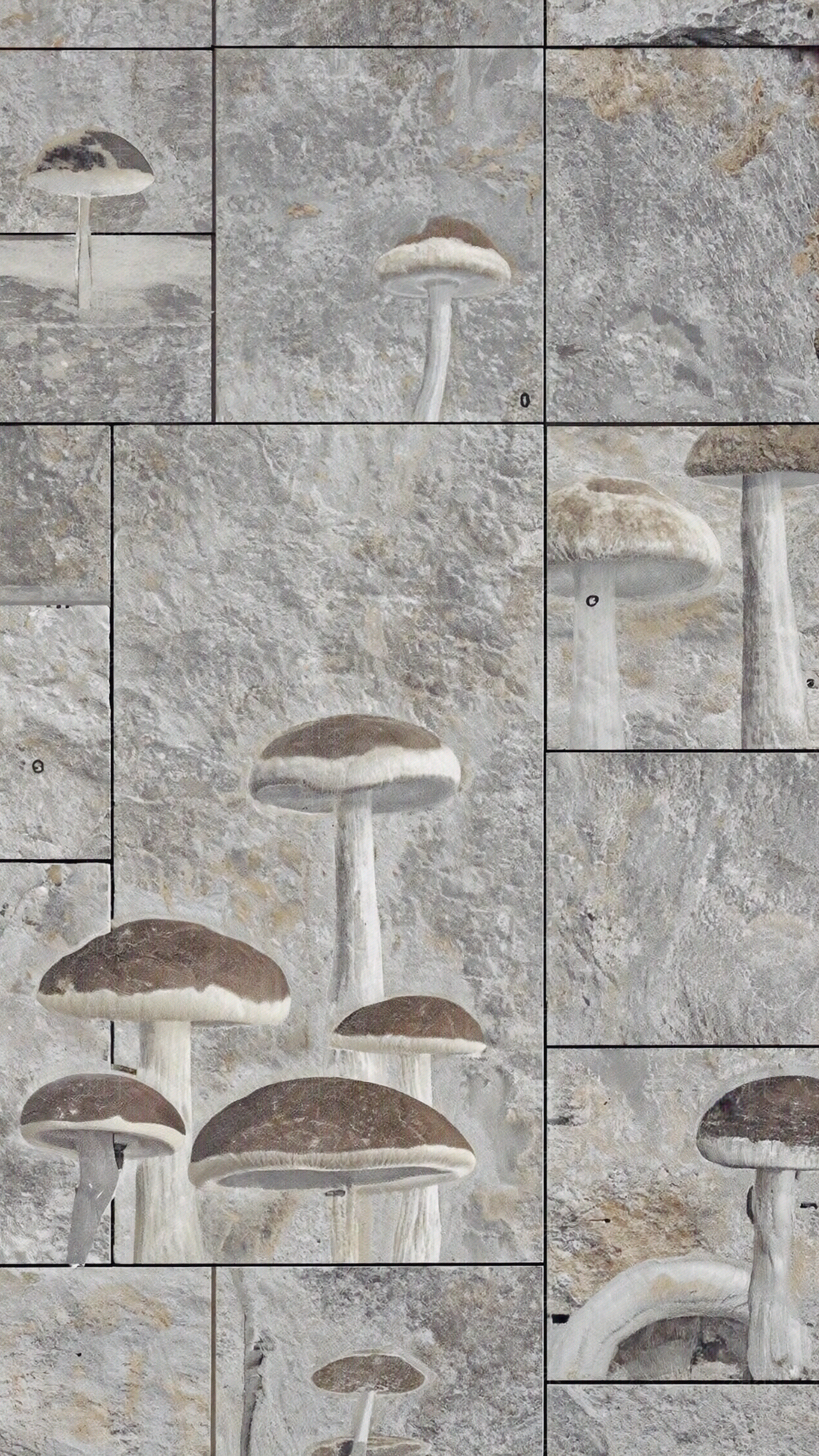 现代蘑菇石贴图下载【ID:1190452320】