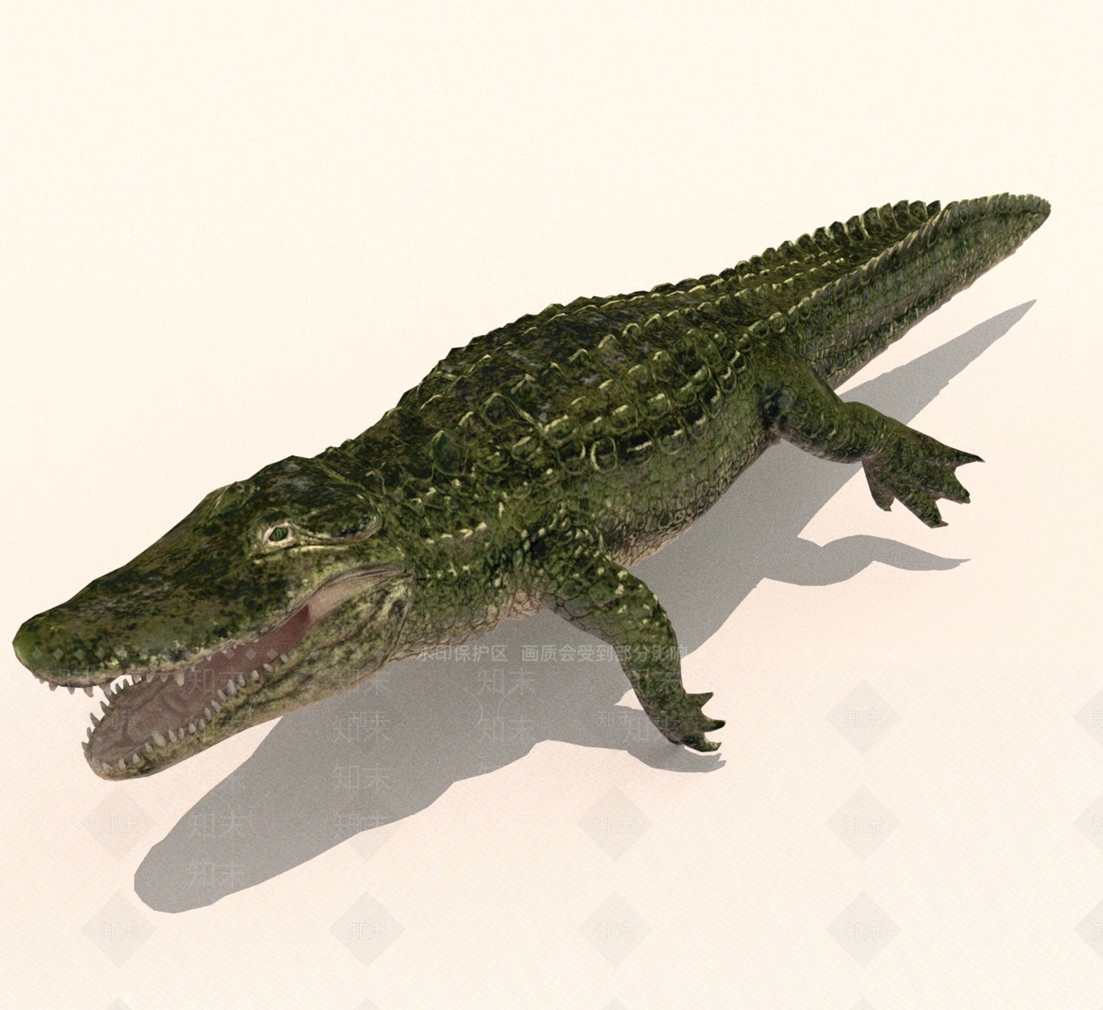 水生类动物3D模型下载【ID:1190494439】