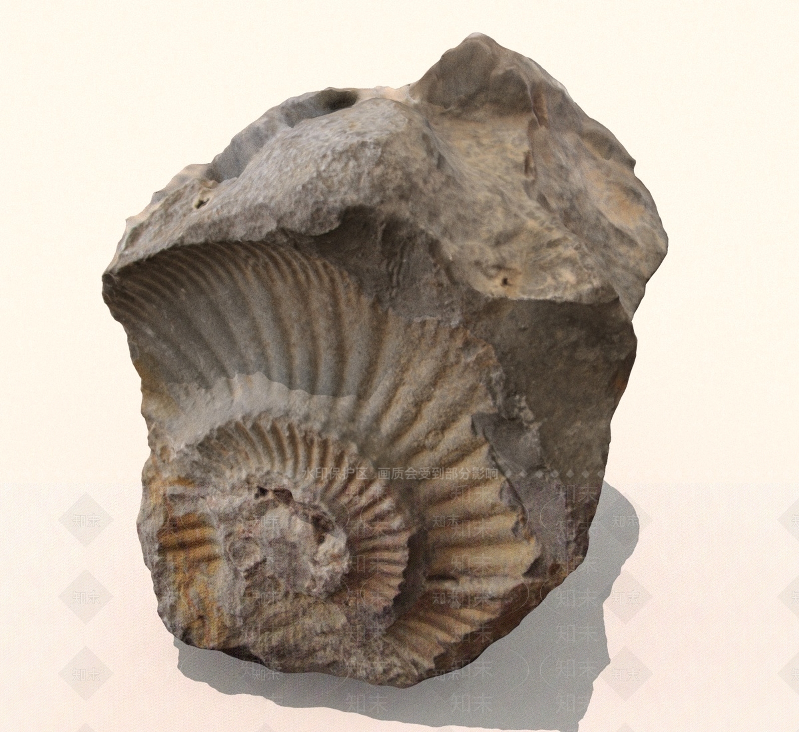 其他动物3D模型下载【ID:1190494668】