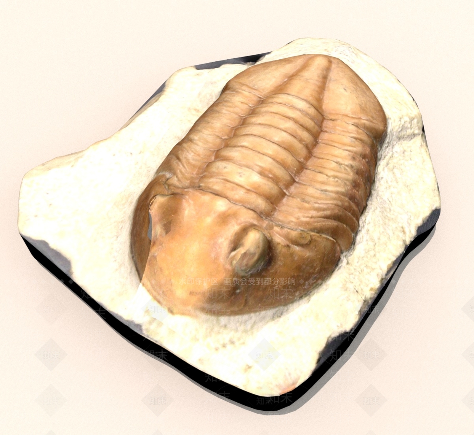 其他动物3D模型下载【ID:1190495069】