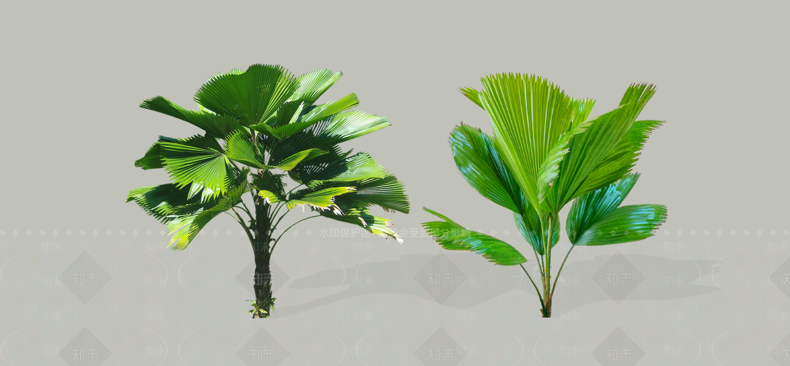 灌木SU模型下载【ID:1190602166】