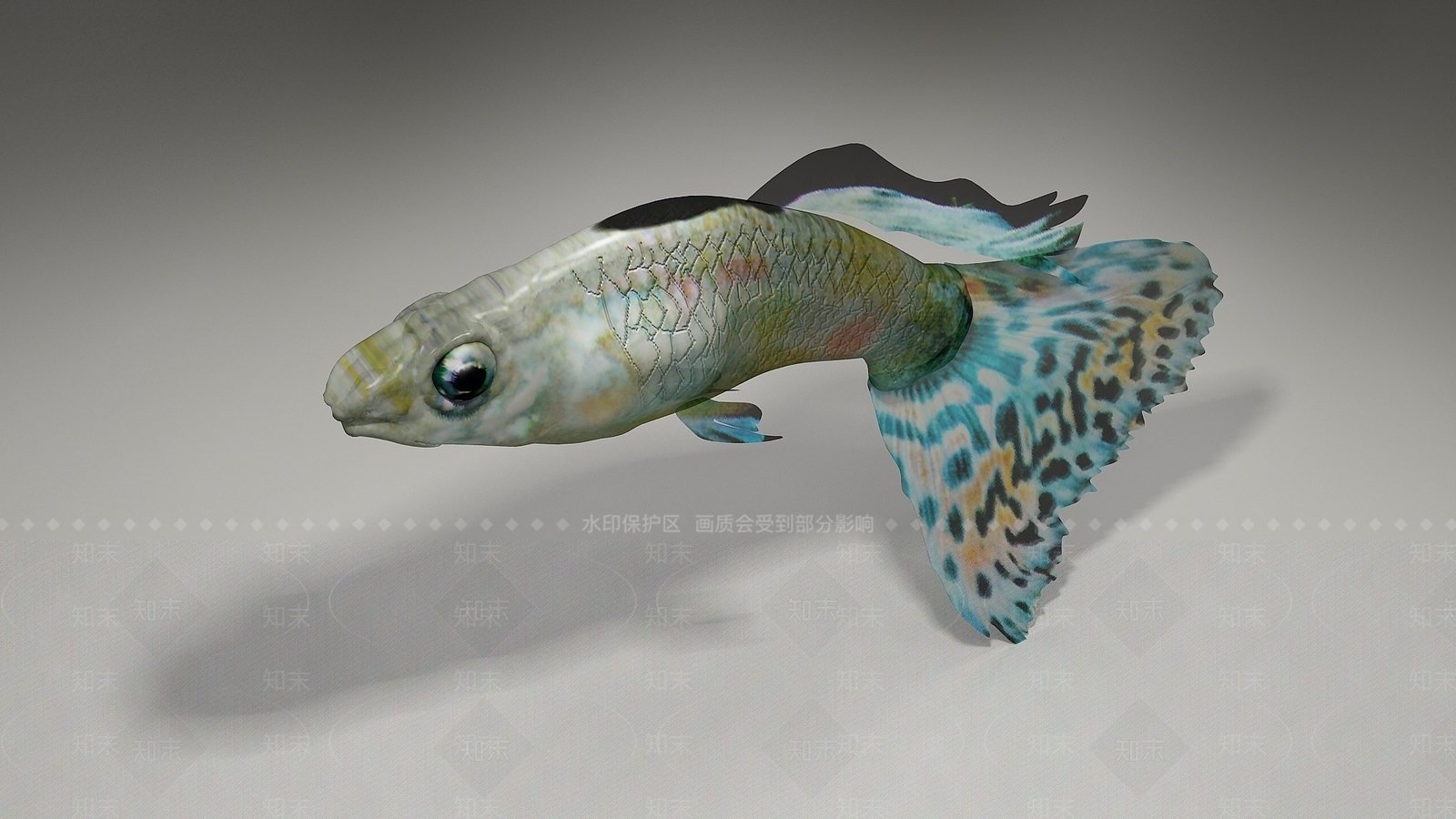 现代爬行类动物3D模型下载【ID:1190610530】