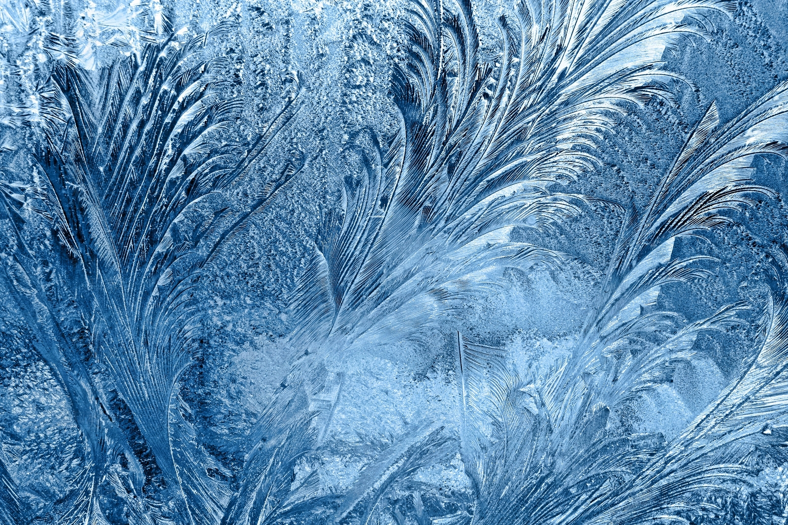 现代印花玻璃贴图下载【ID:1190650865】