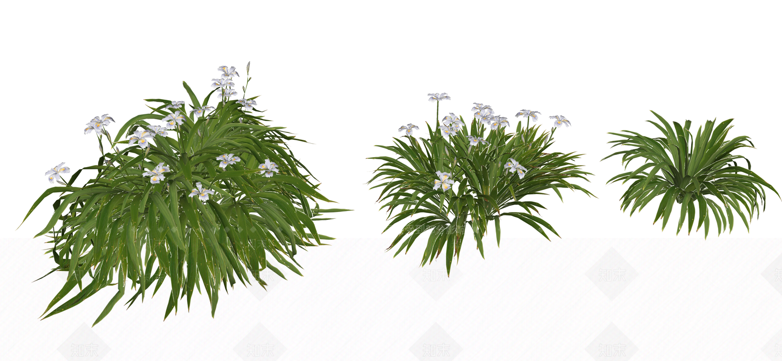 花草SU模型下载【ID:1190676208】