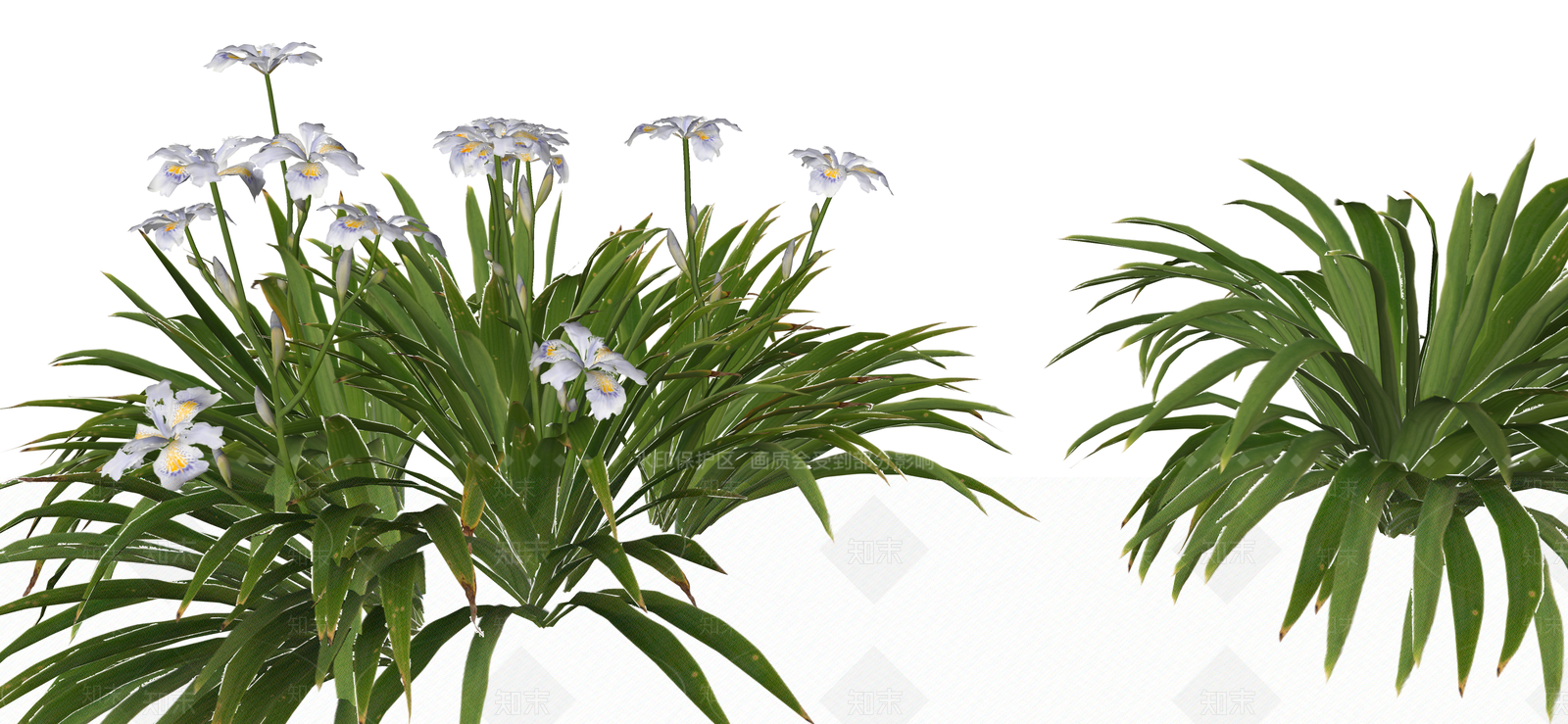 花草SU模型下载【ID:1190676208】
