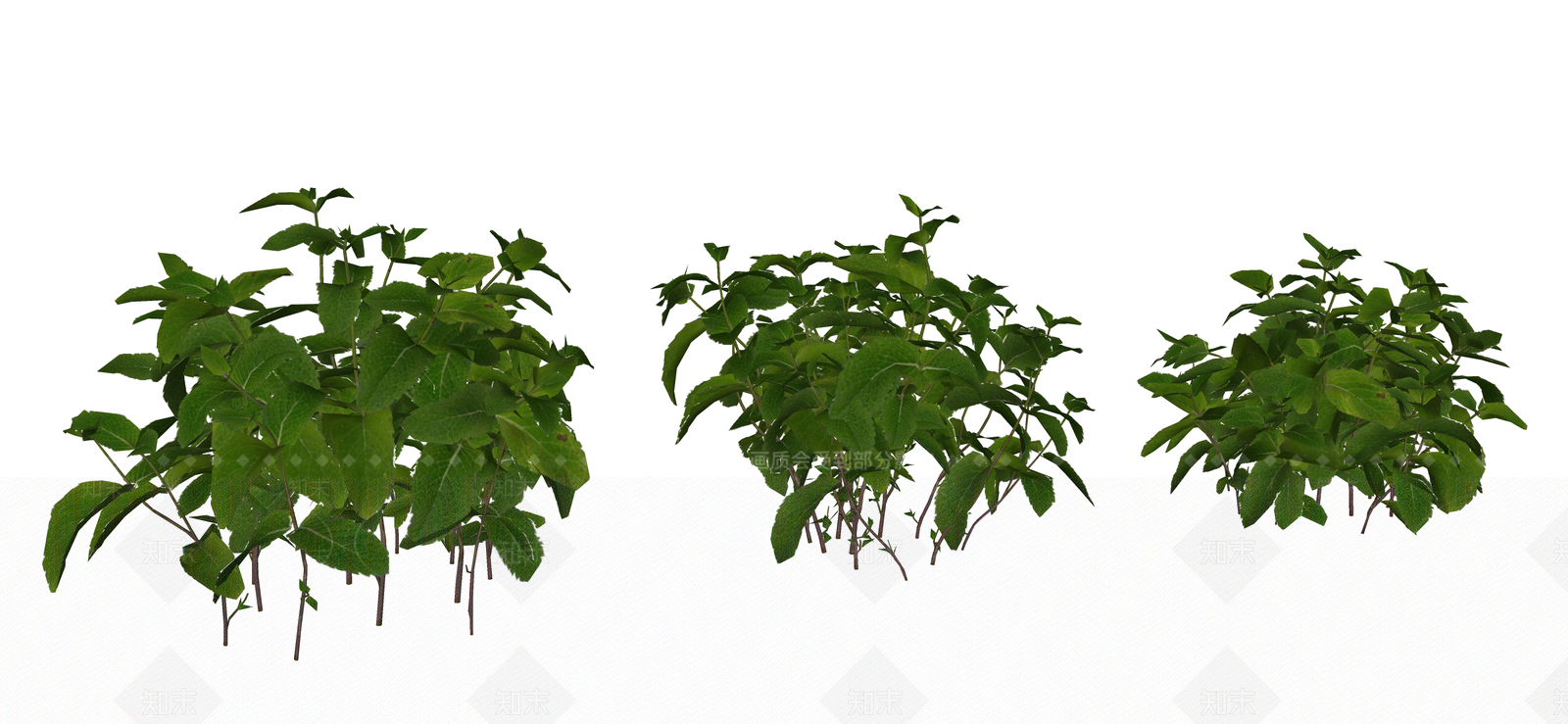 花草SU模型下载【ID:1190676653】