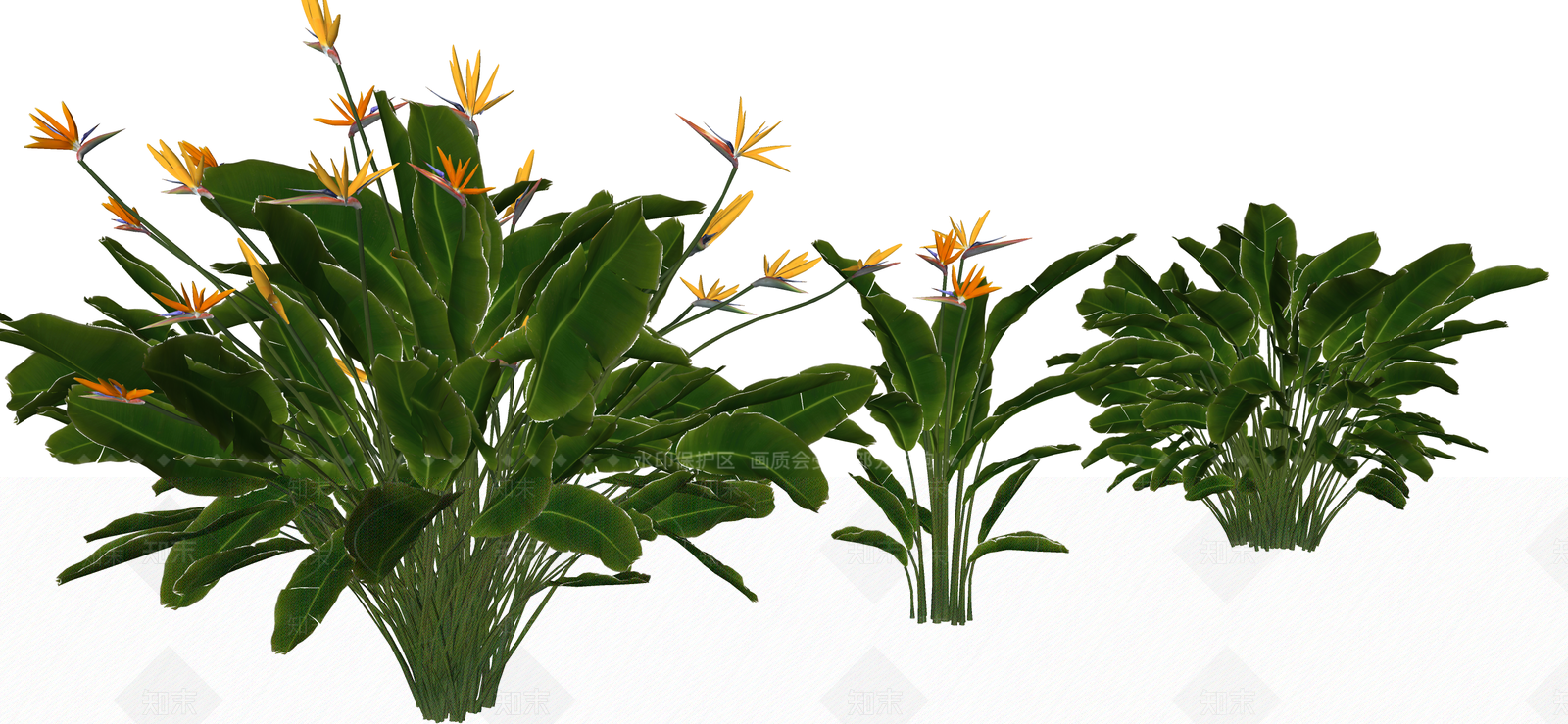 花草SU模型下载【ID:1190676980】