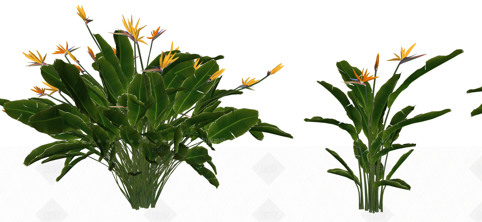 花草SU模型下载【ID:1190676980】
