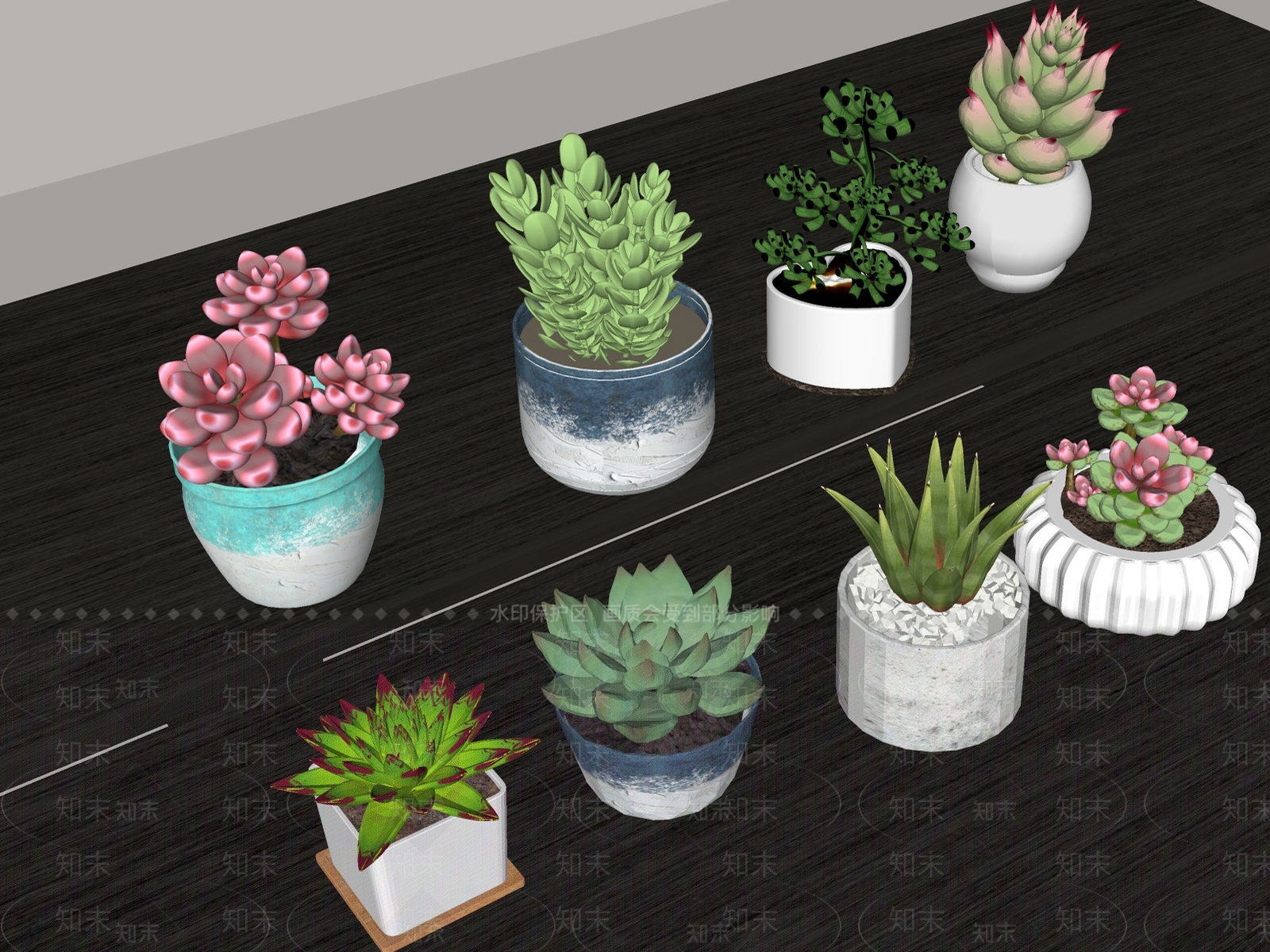 多肉植物SU模型下载【ID:1190677482】