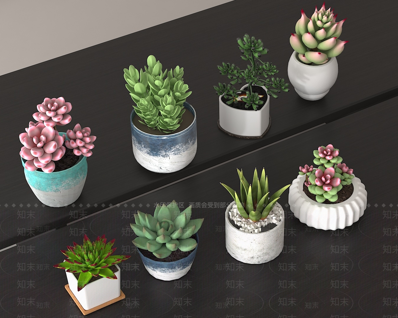 多肉植物SU模型下载【ID:1190677482】