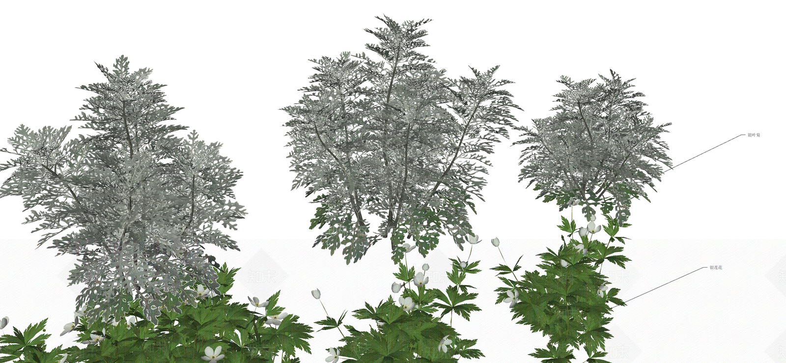 花草SU模型下载【ID:1190682591】