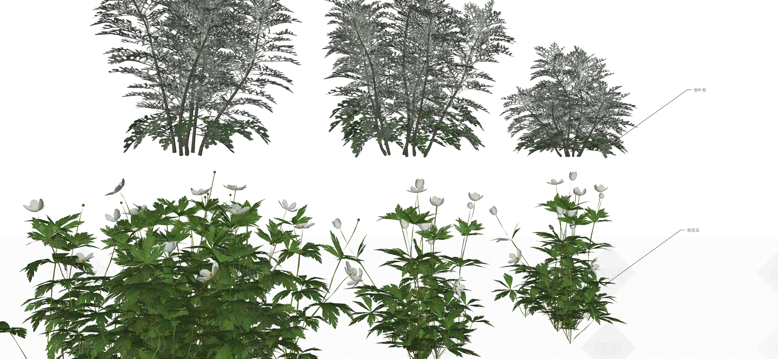 花草SU模型下载【ID:1190682591】