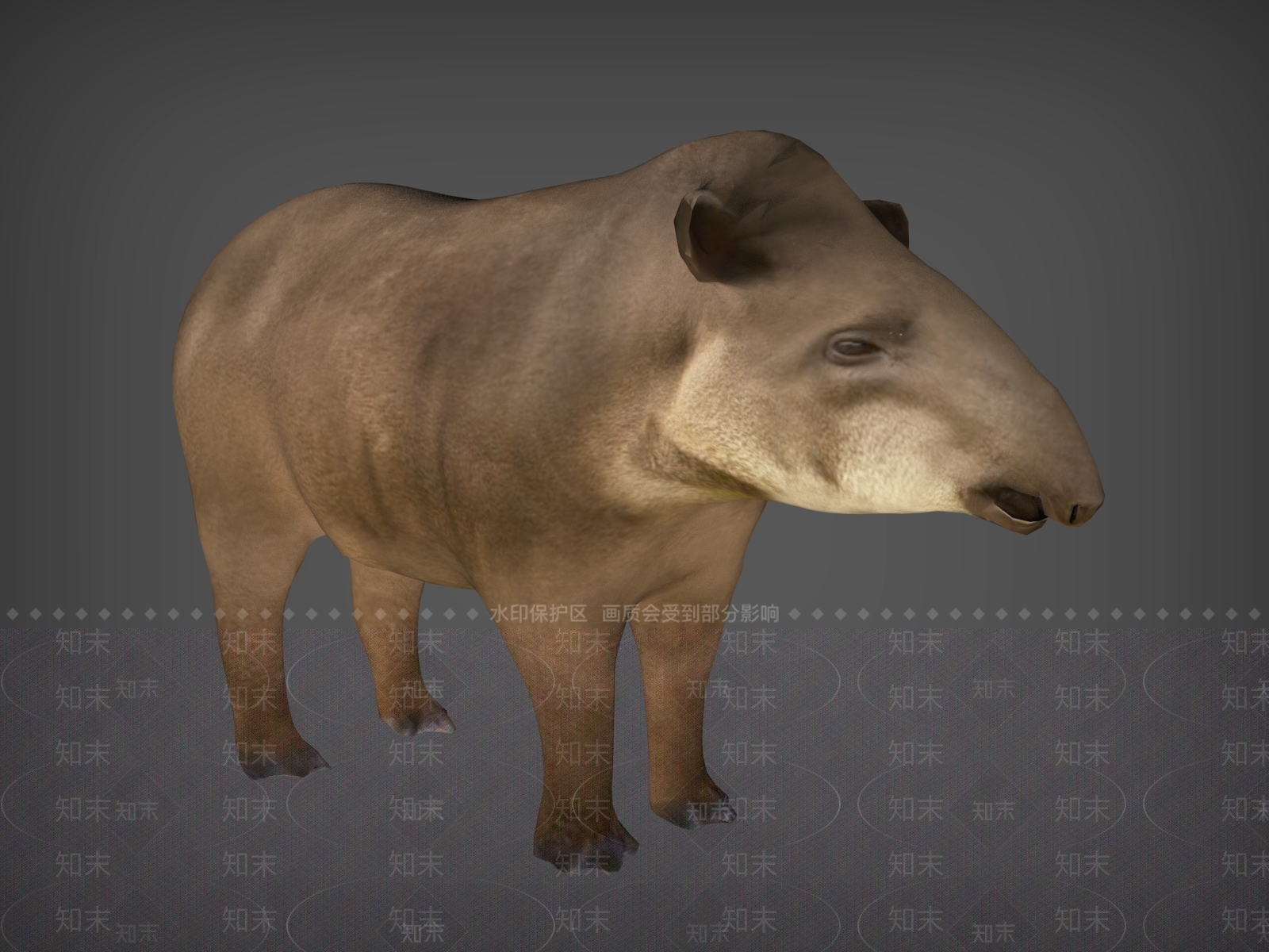 爬行类动物3D模型下载【ID:1190727464】