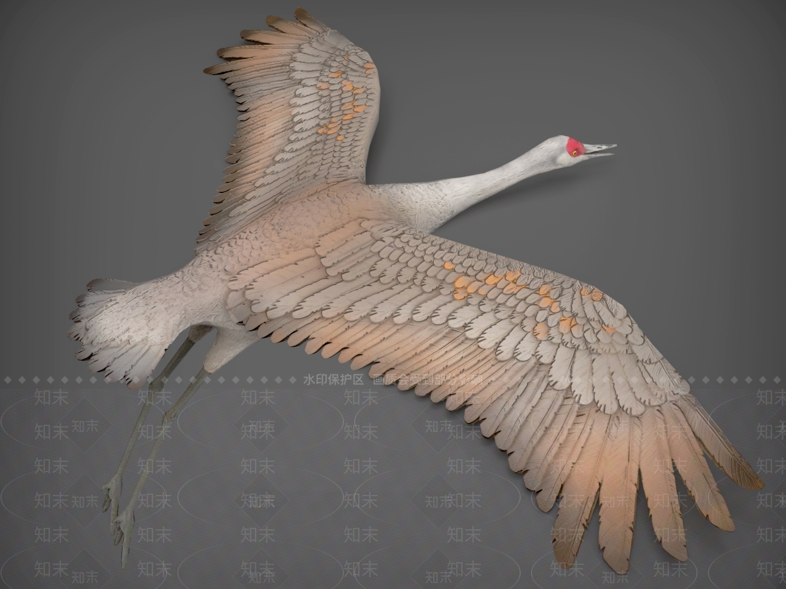 飞行类动物3D模型下载【ID:1190727557】