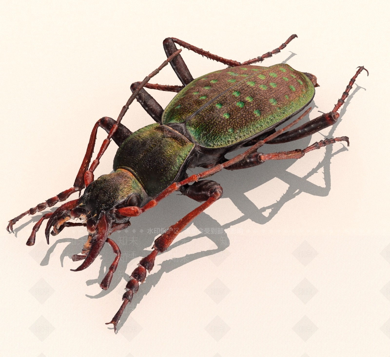 飞行类动物3D模型下载【ID:1190730284】