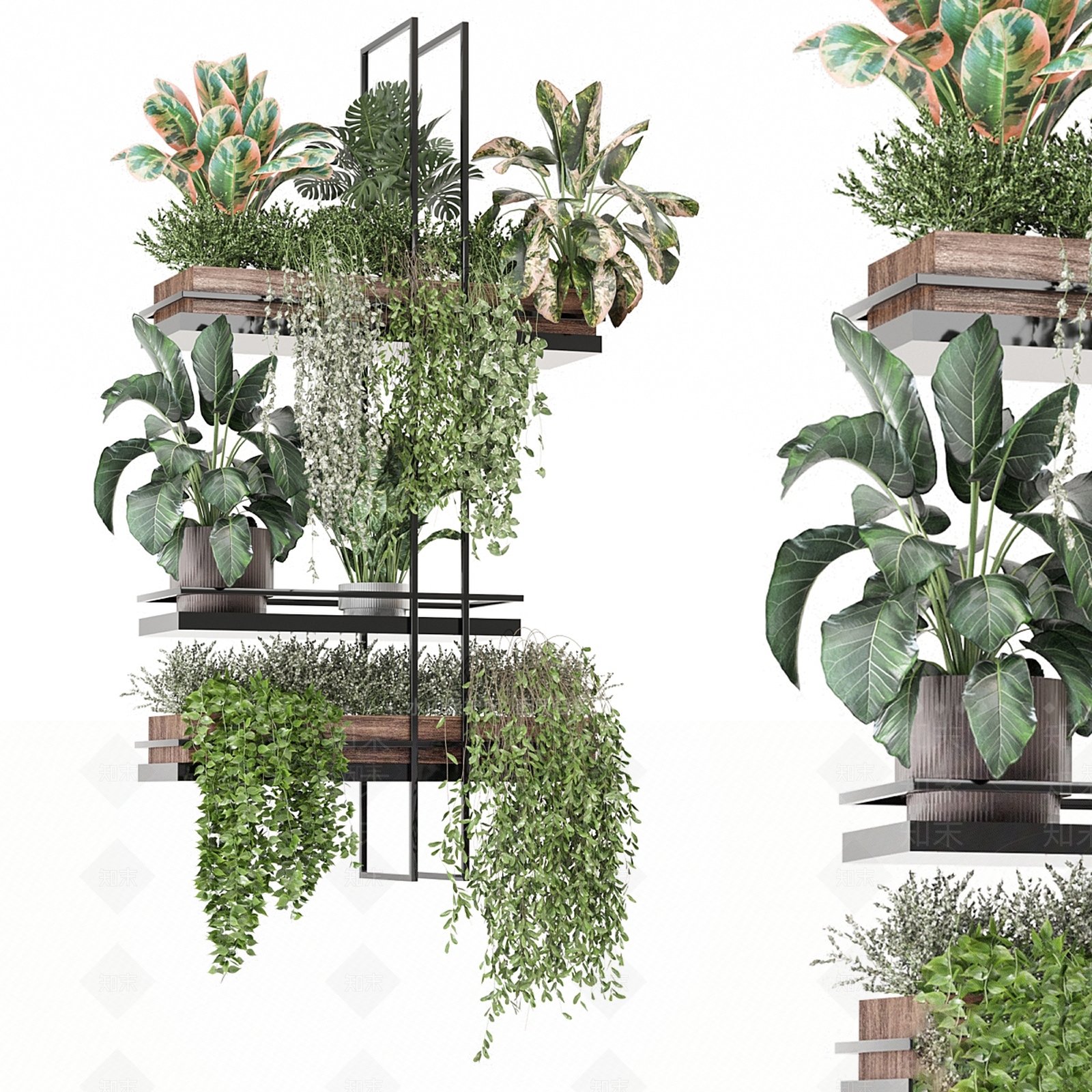 绿植墙3D模型下载【ID:1190753173】