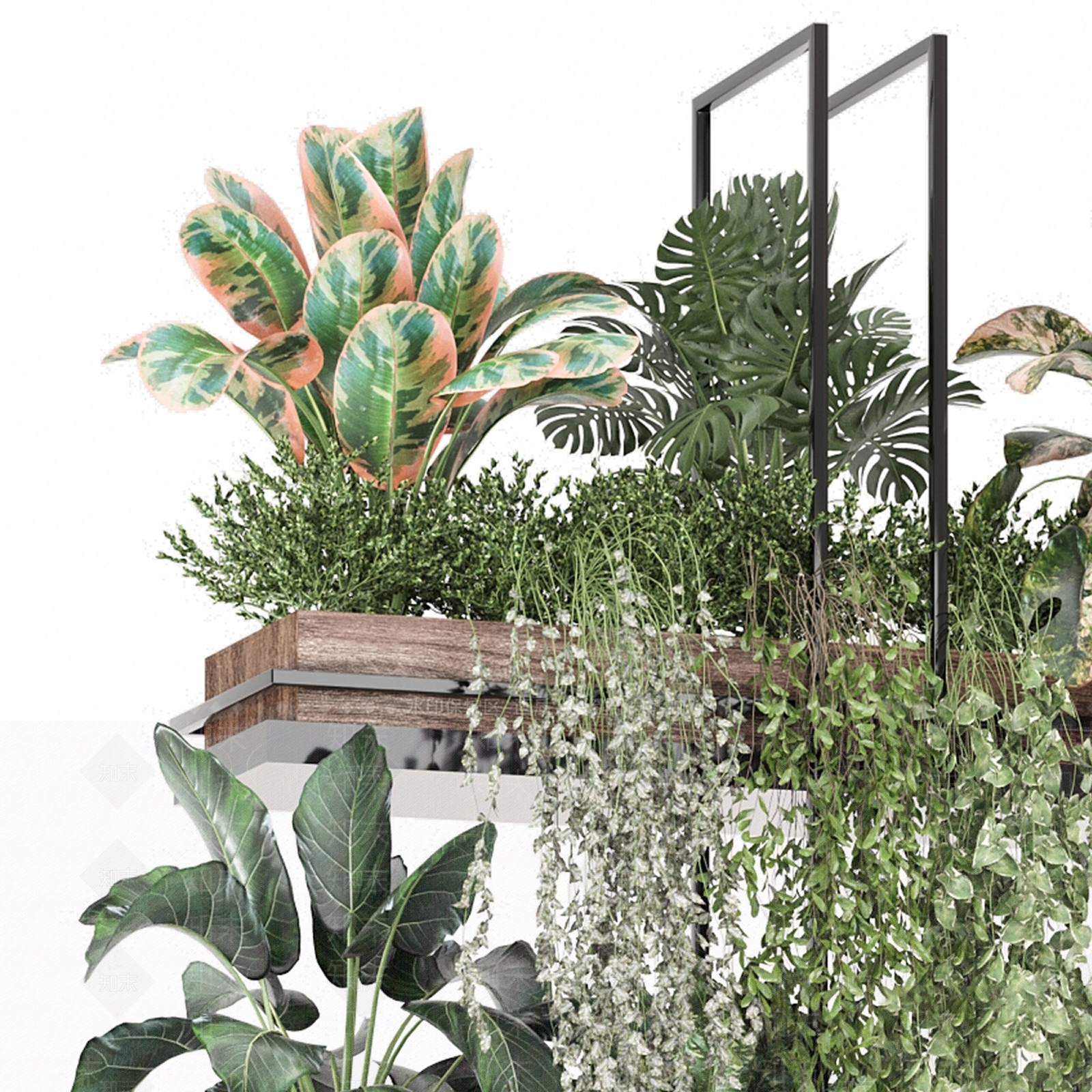 绿植墙3D模型下载【ID:1190753173】