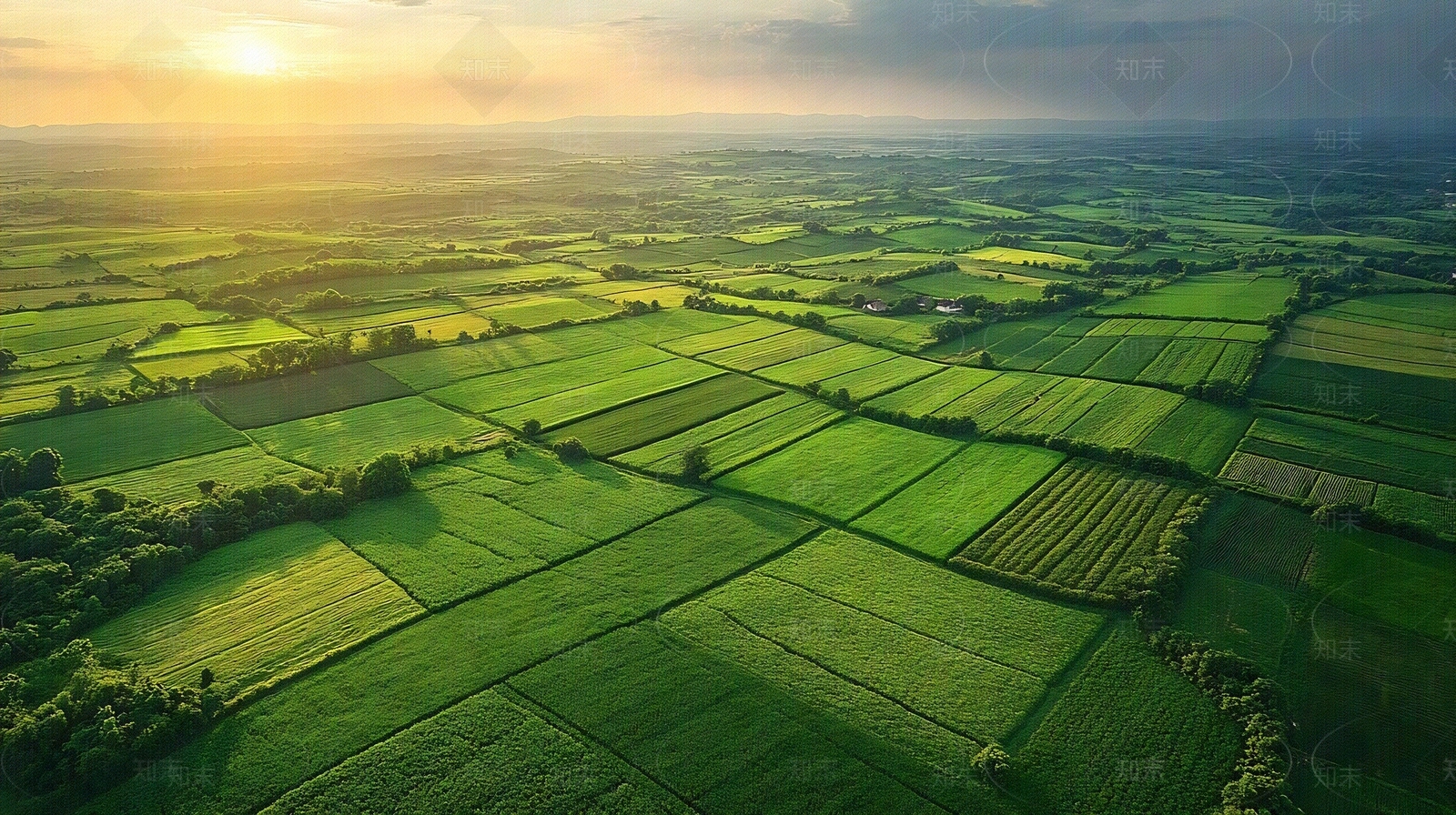 现代农田贴图下载【ID:1190761302】