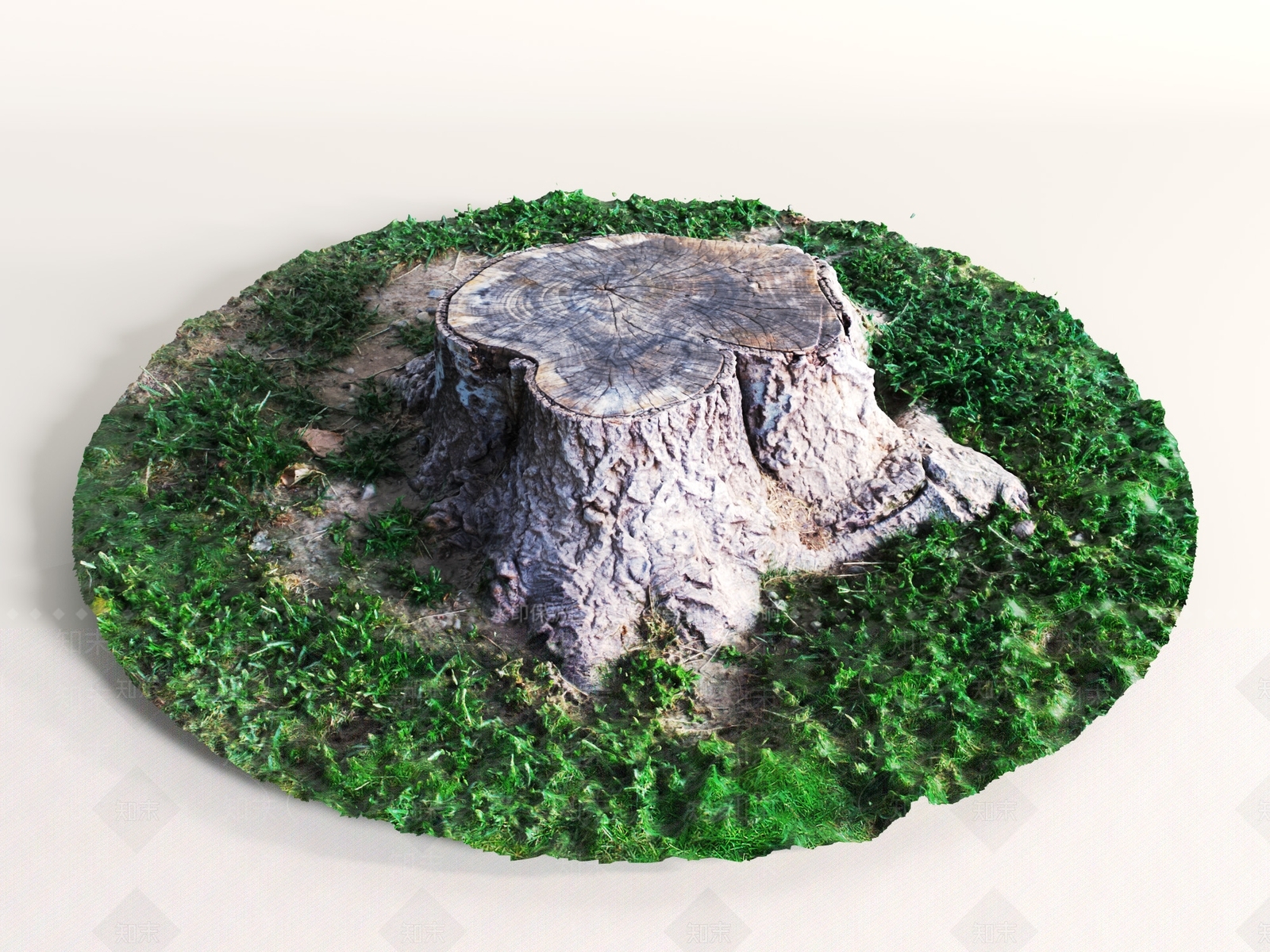 其他树木3D模型下载【ID:1190766836】