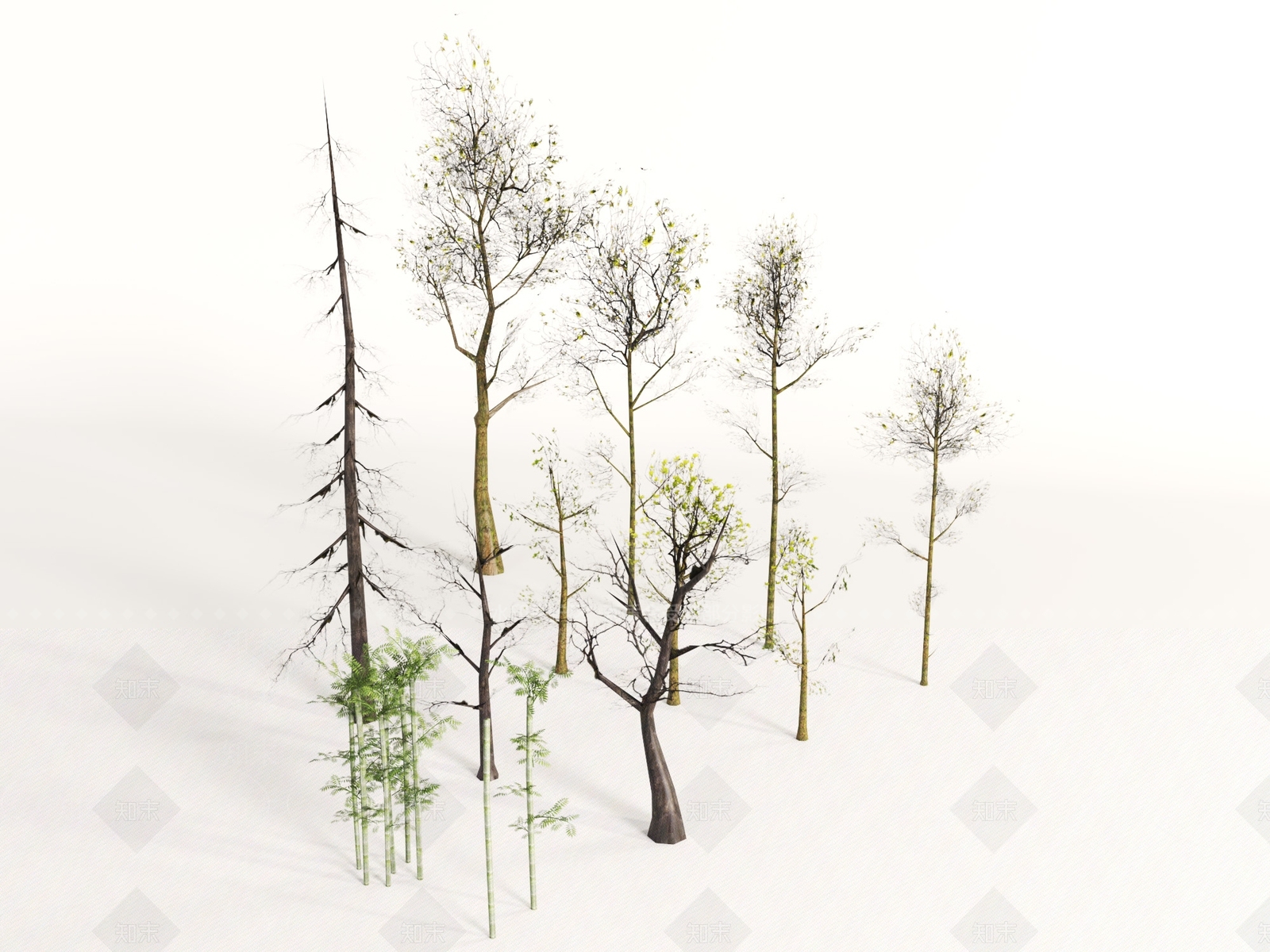 景观树3D模型下载【ID:1190775899】