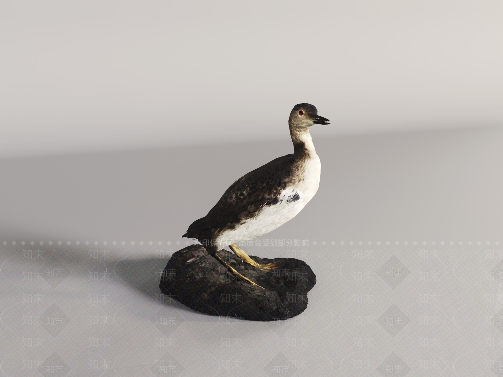 家禽类动物3D模型下载【ID:1190778170】