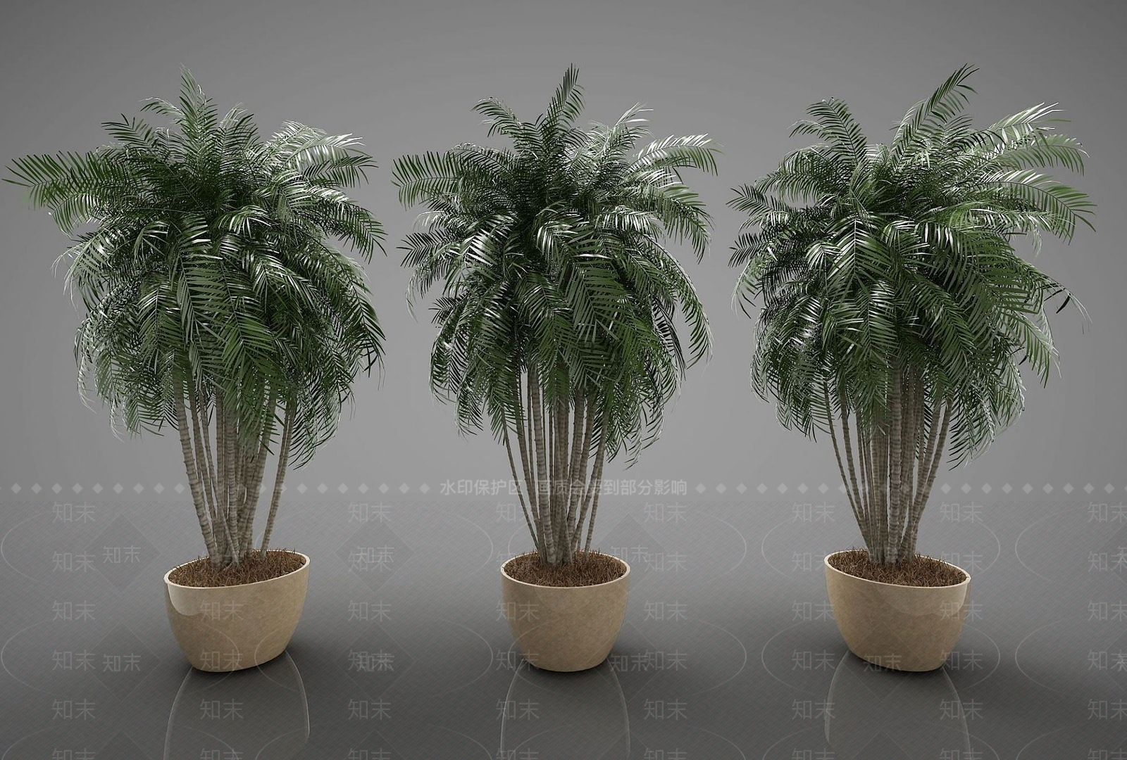 现代装饰植物3D模型下载【ID:1190778648】