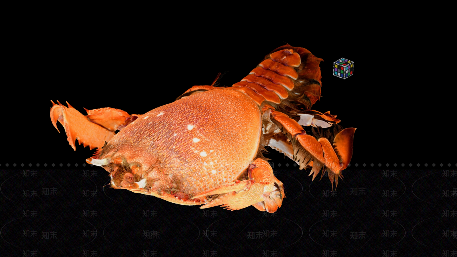 水生类动物3D模型下载【ID:1190802880】