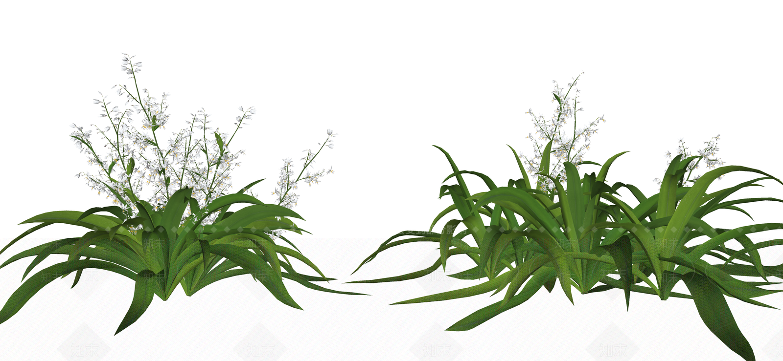 花草SU模型下载【ID:1190810128】
