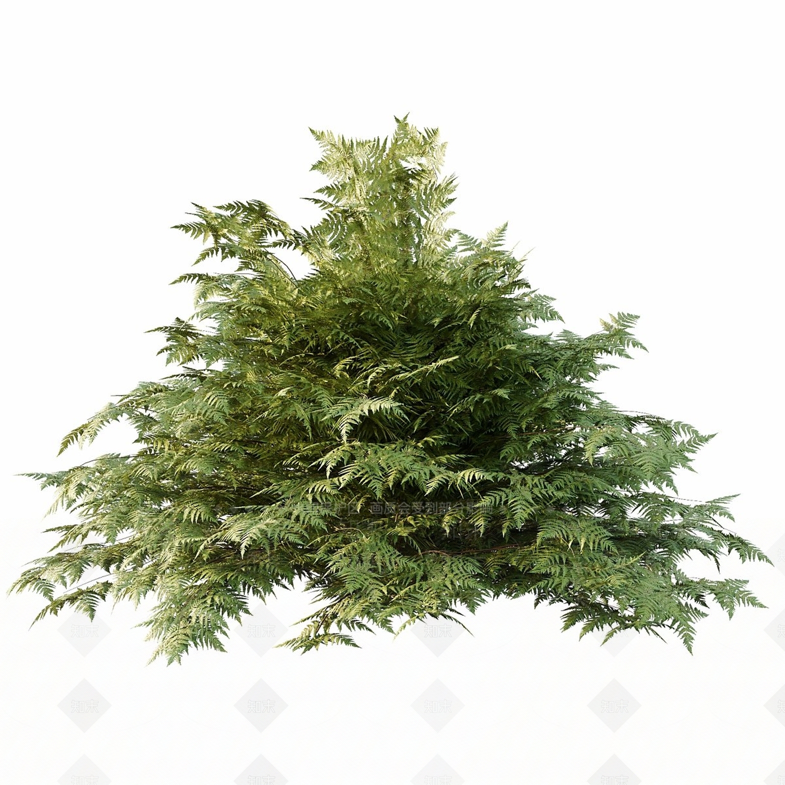 灌木3D模型下载【ID:1190811810】