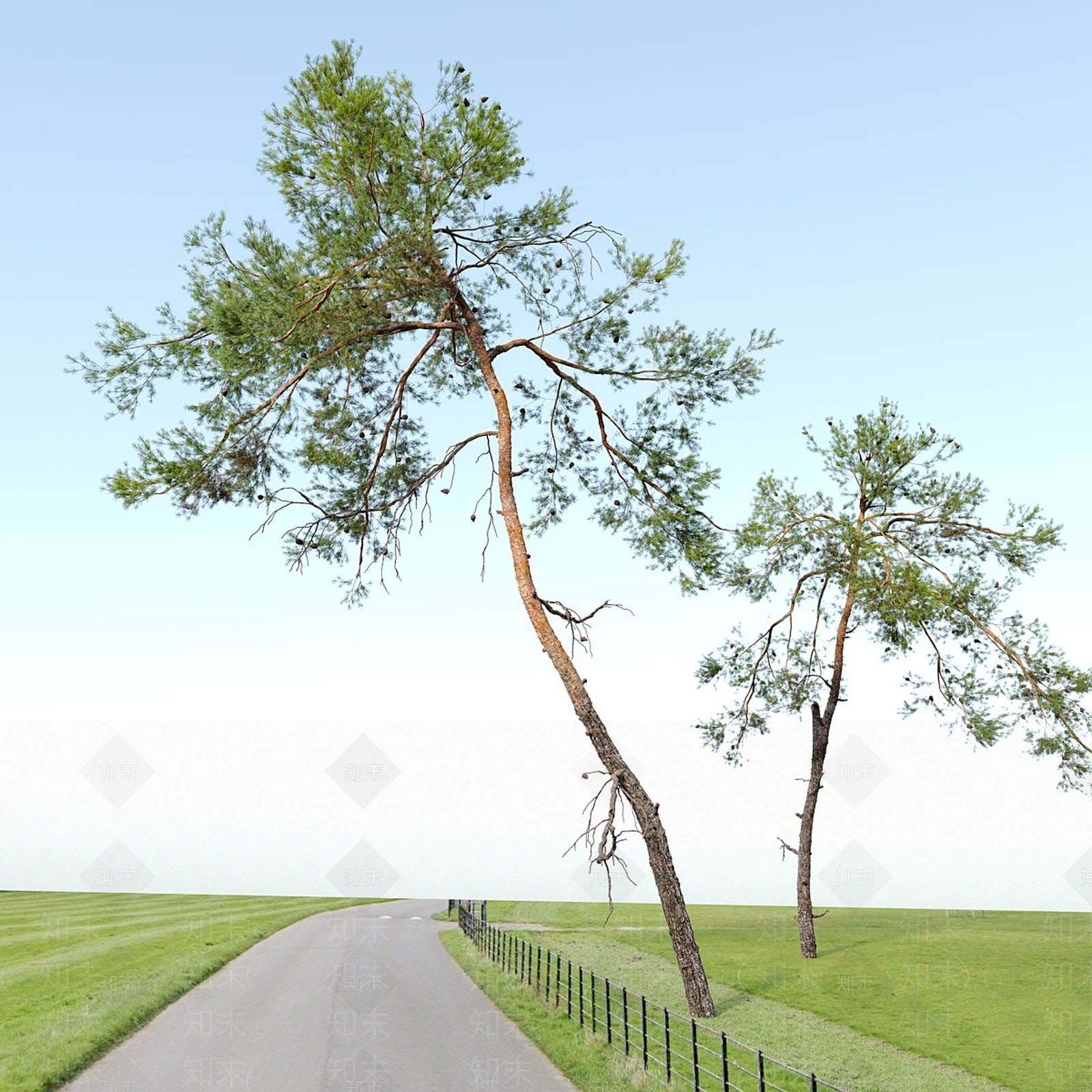 其他树木3D模型下载【ID:1190813014】