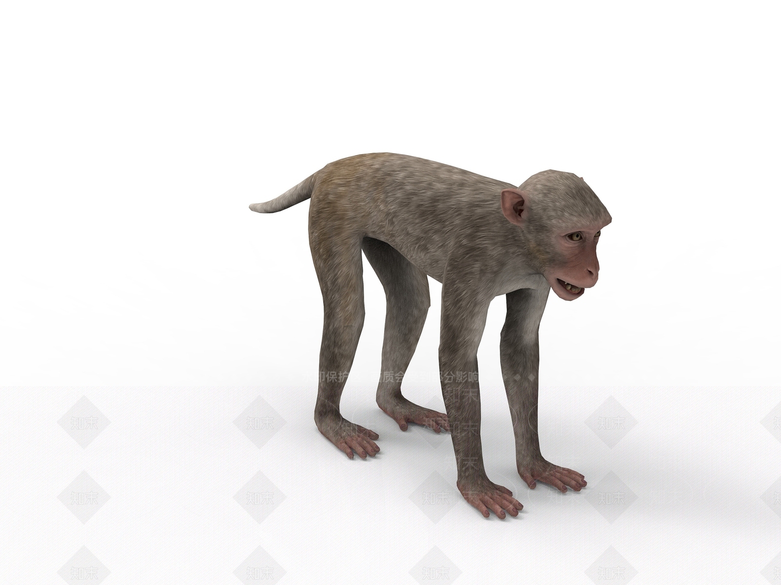 现代爬行类动物3D模型下载【ID:1190826263】