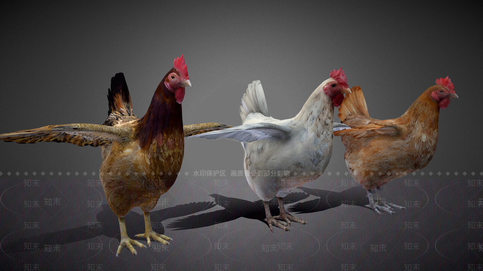 家禽类动物3D模型下载【ID:1190829988】
