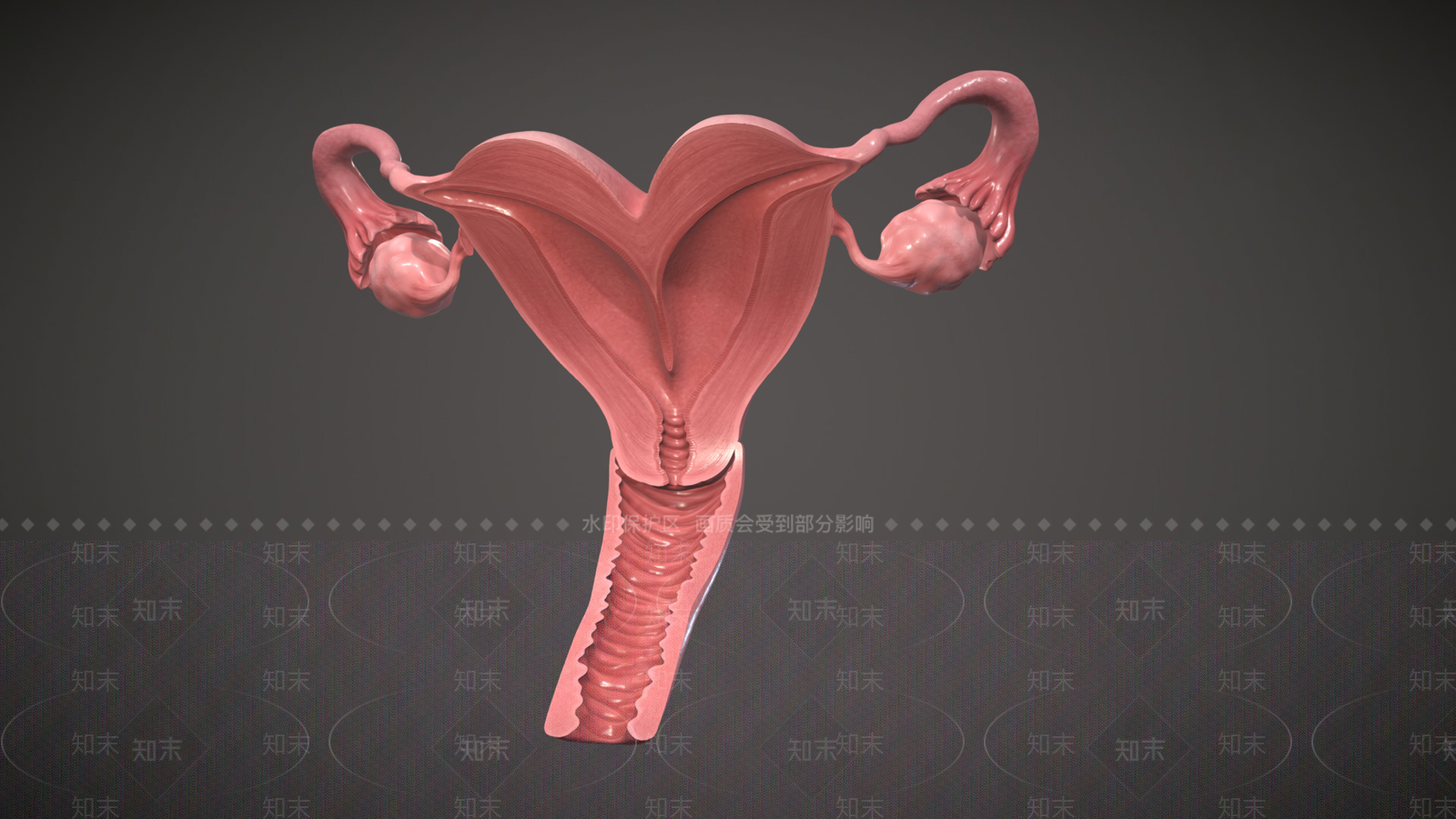 女人3D模型下载【ID:1190841661】