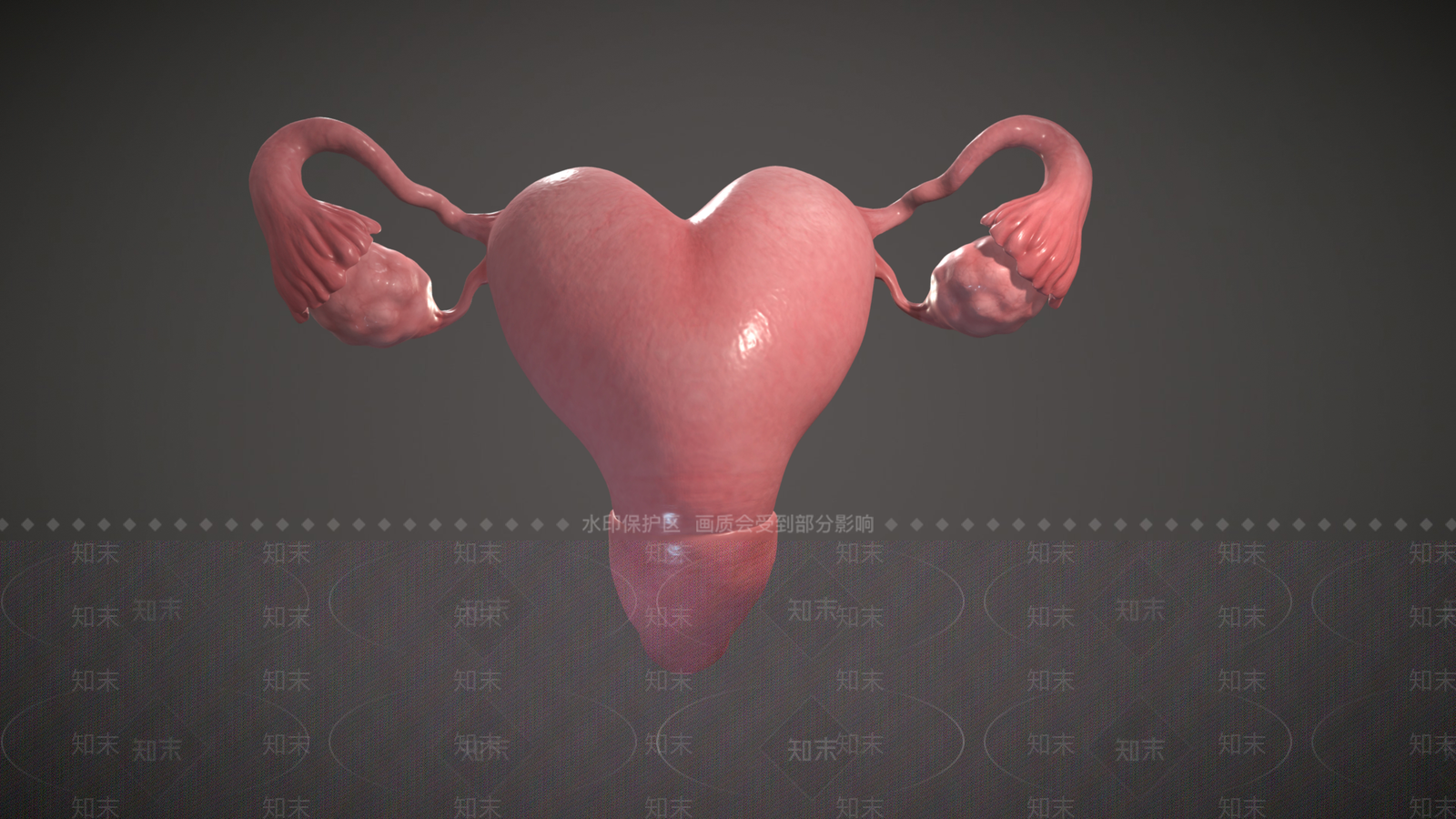 女人3D模型下载【ID:1190841661】