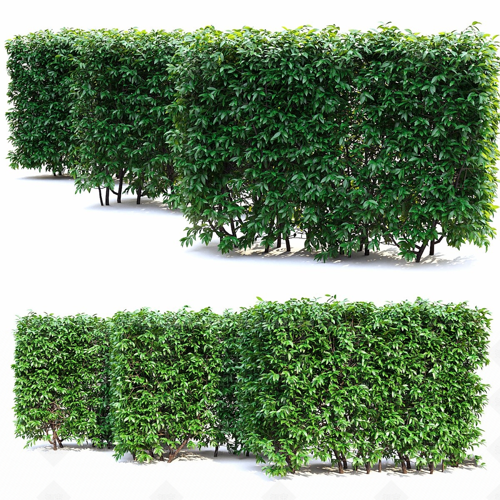 灌木3D模型下载【ID:1190856623】